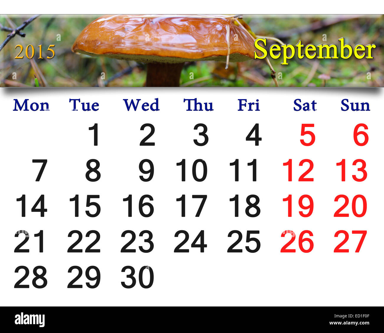 Calendario per il mese di settembre del 2015 col Fungo Foto Stock
