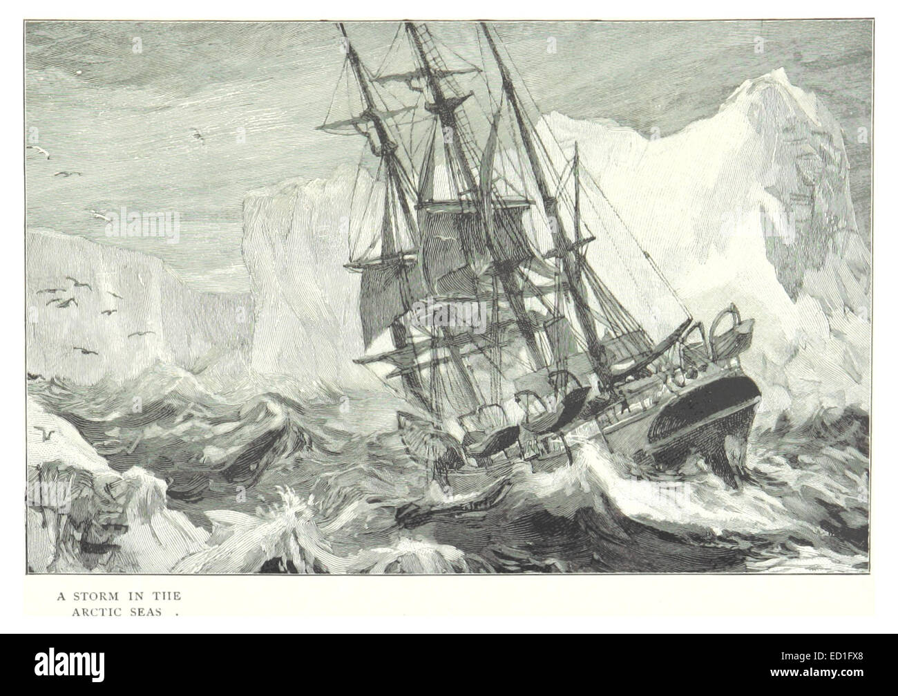 Questa illustrazione del 1899 di Scott raffigura una drammatica tempesta nei mari artici, catturando le condizioni violente ed estreme dell'ambiente duro della regione. Foto Stock