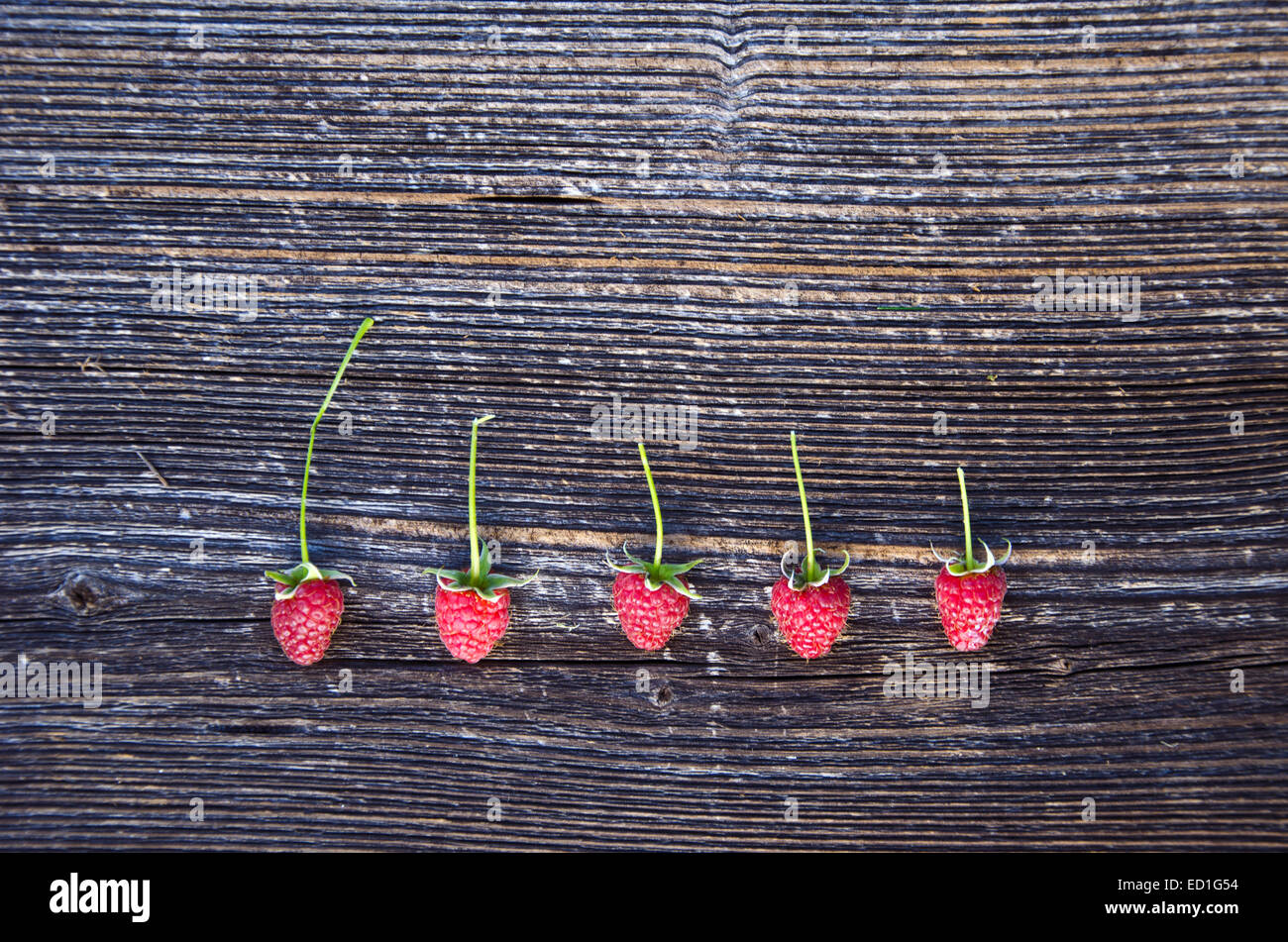 Fresche lamponi sani frutti di bosco sul vecchio asse di legno sfondo Foto Stock