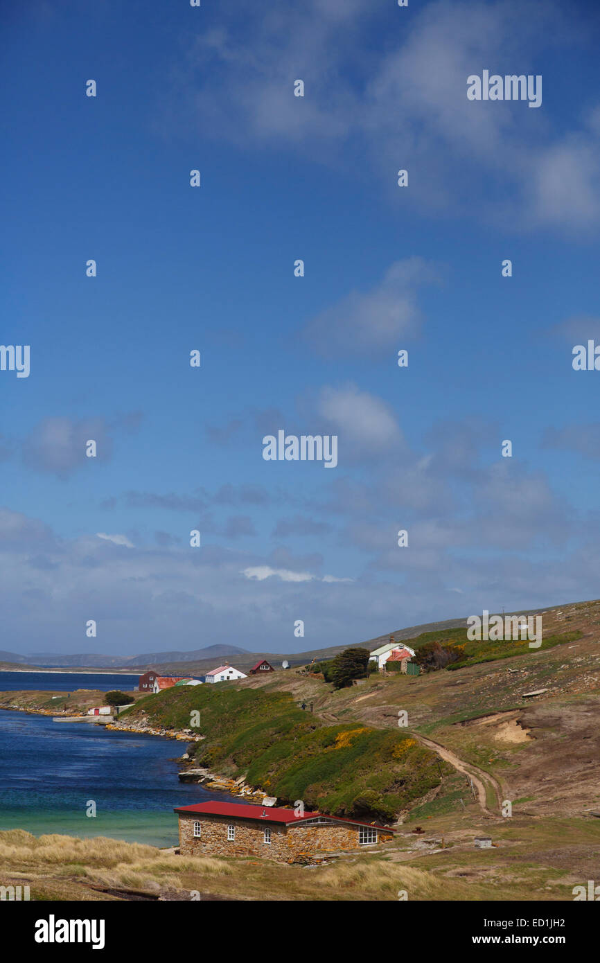 Nuova isola conservazione Trust, Nuova Isola, Isole Falkland. Foto Stock