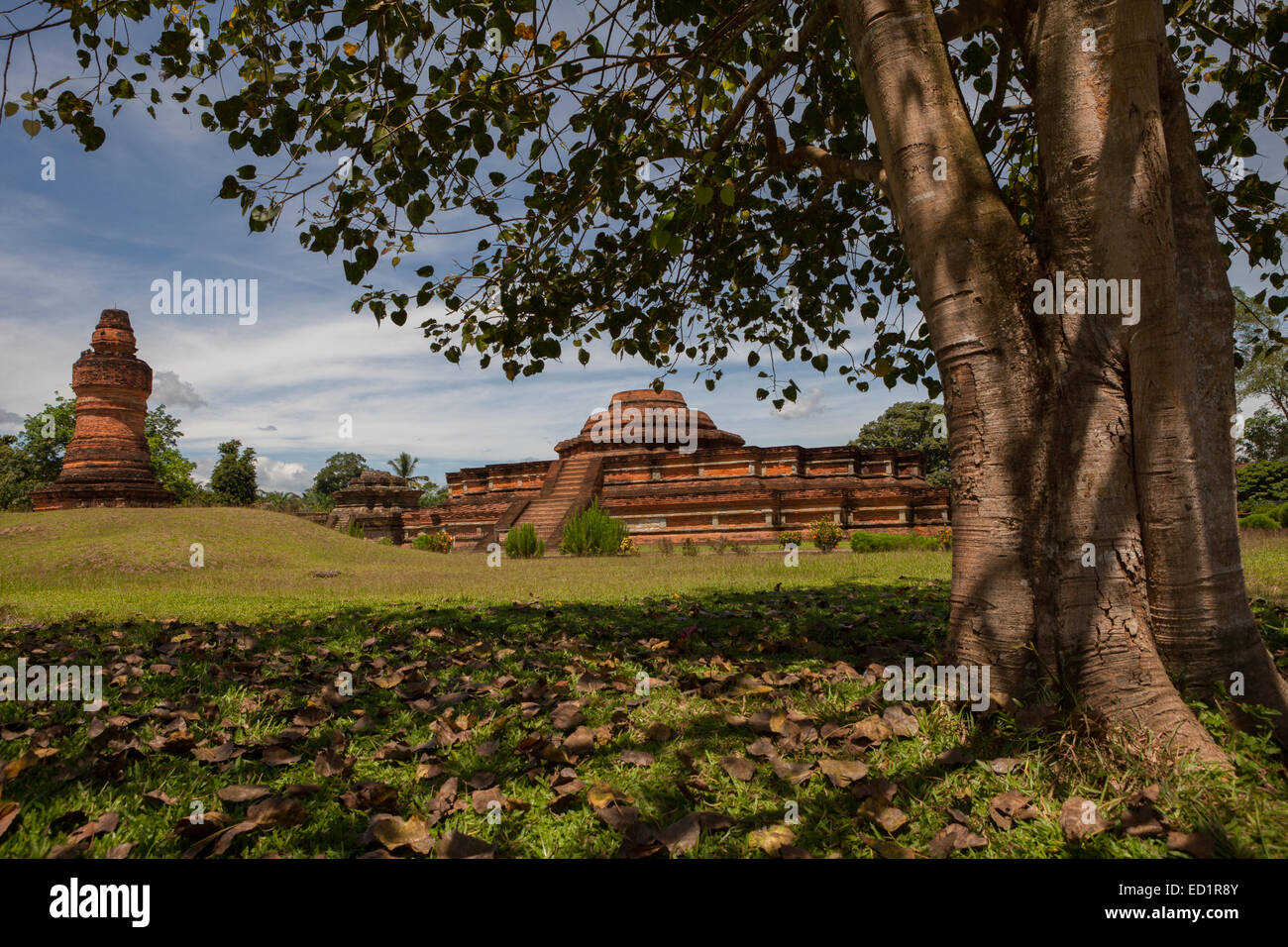 Una vista distante del complesso del tempio di Muara Takus in Muara Takus, Kampar, Riau, Indonesia. Foto Stock