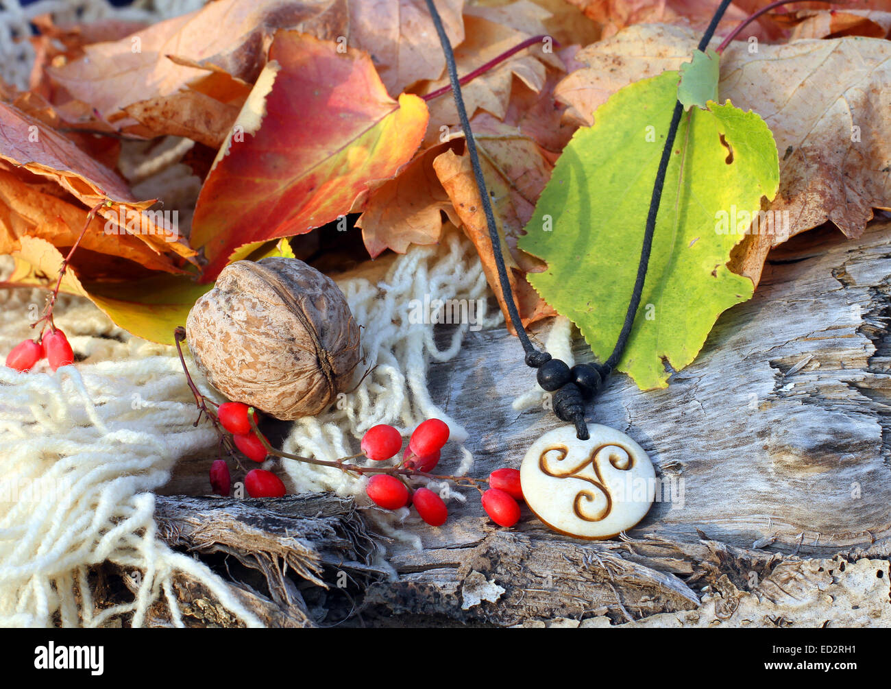 Etnica osso fatti a mano magic cinese amuleto in autunno di sfondo dello stile Foto Stock