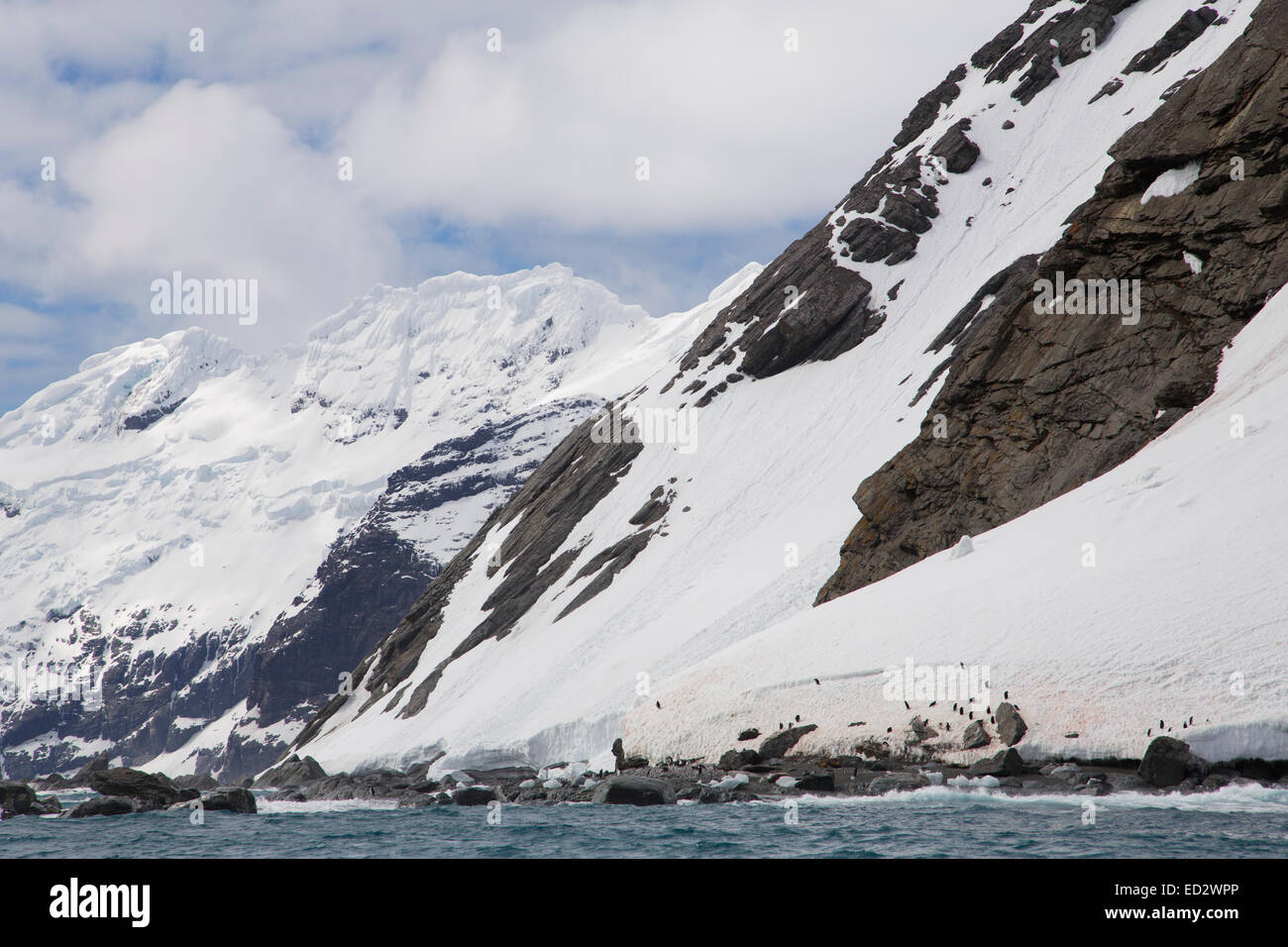 Point Wild, Elephant Island, l'Antartide. Questo è il luogo desolato dove Shackelton lasciò i suoi uomini come lui a pochi altri a sinistra Foto Stock