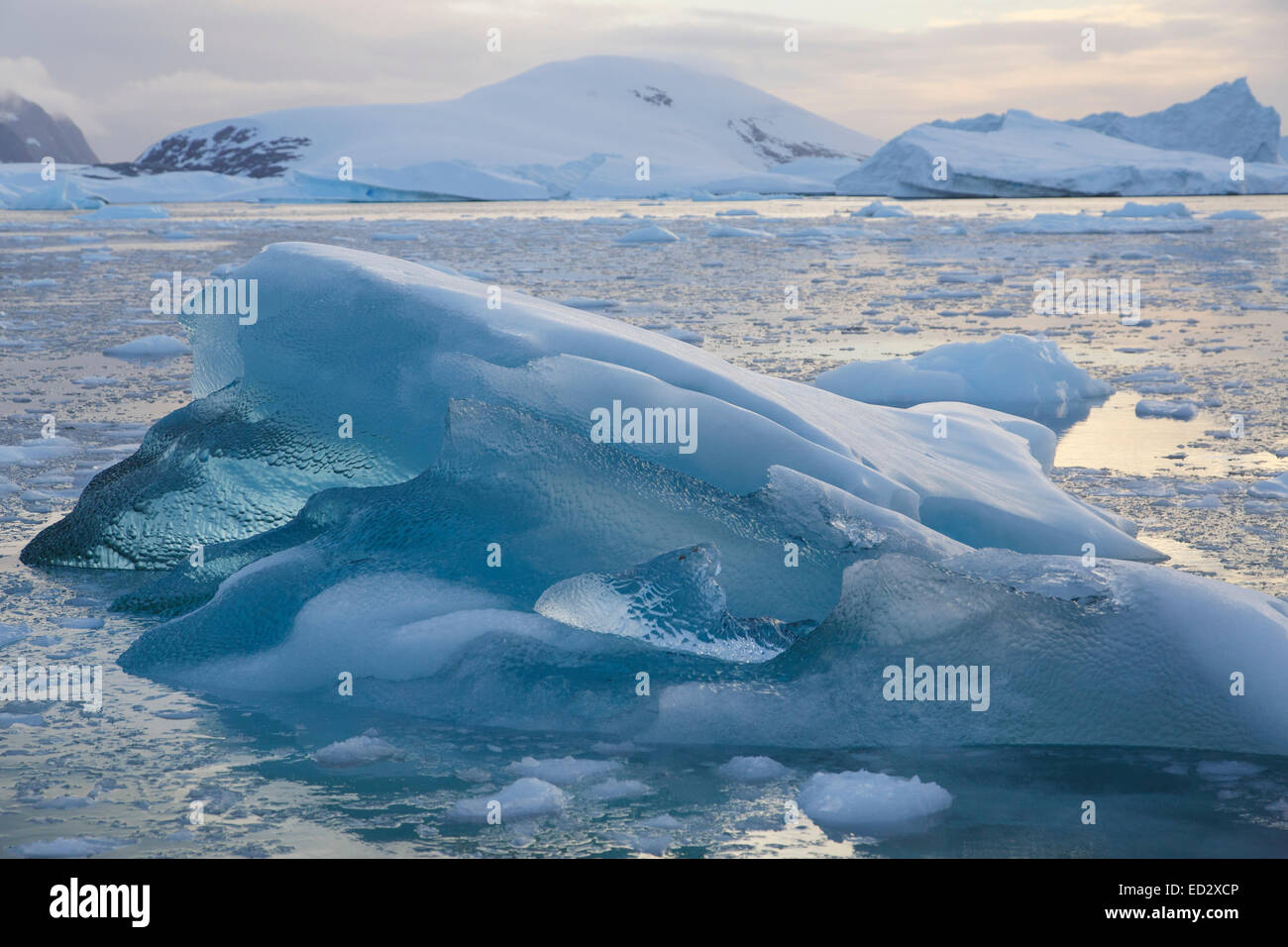 Iceberg cimitero vicino Petermann Island, l'Antartide. Foto Stock