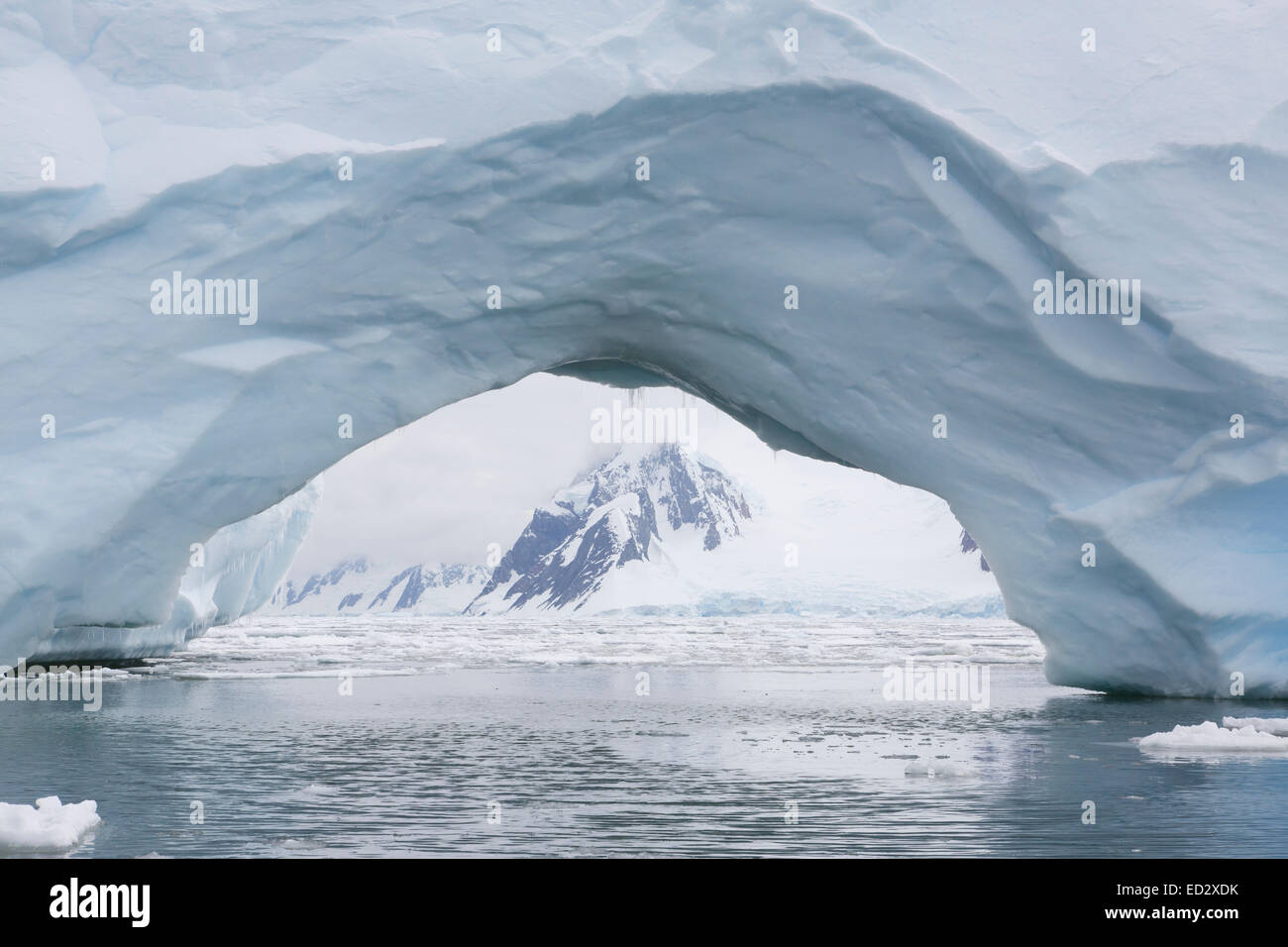 Iceberg intorno all isola Yalour, Antartide. Foto Stock