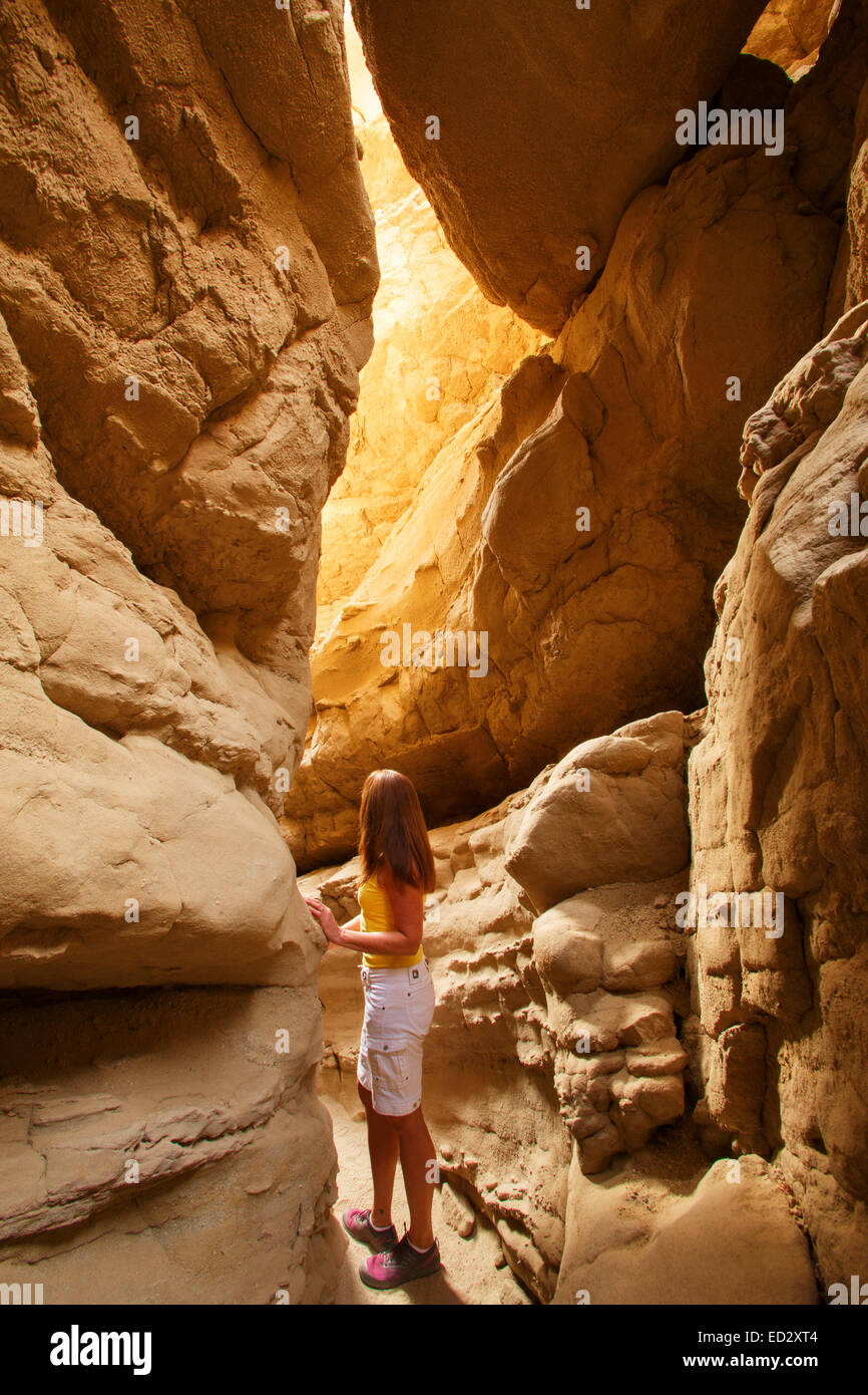 Un visitatore esplora uno slot canyon in Anza-Borrego Desert State Park, California. (Modello rilasciato) Foto Stock