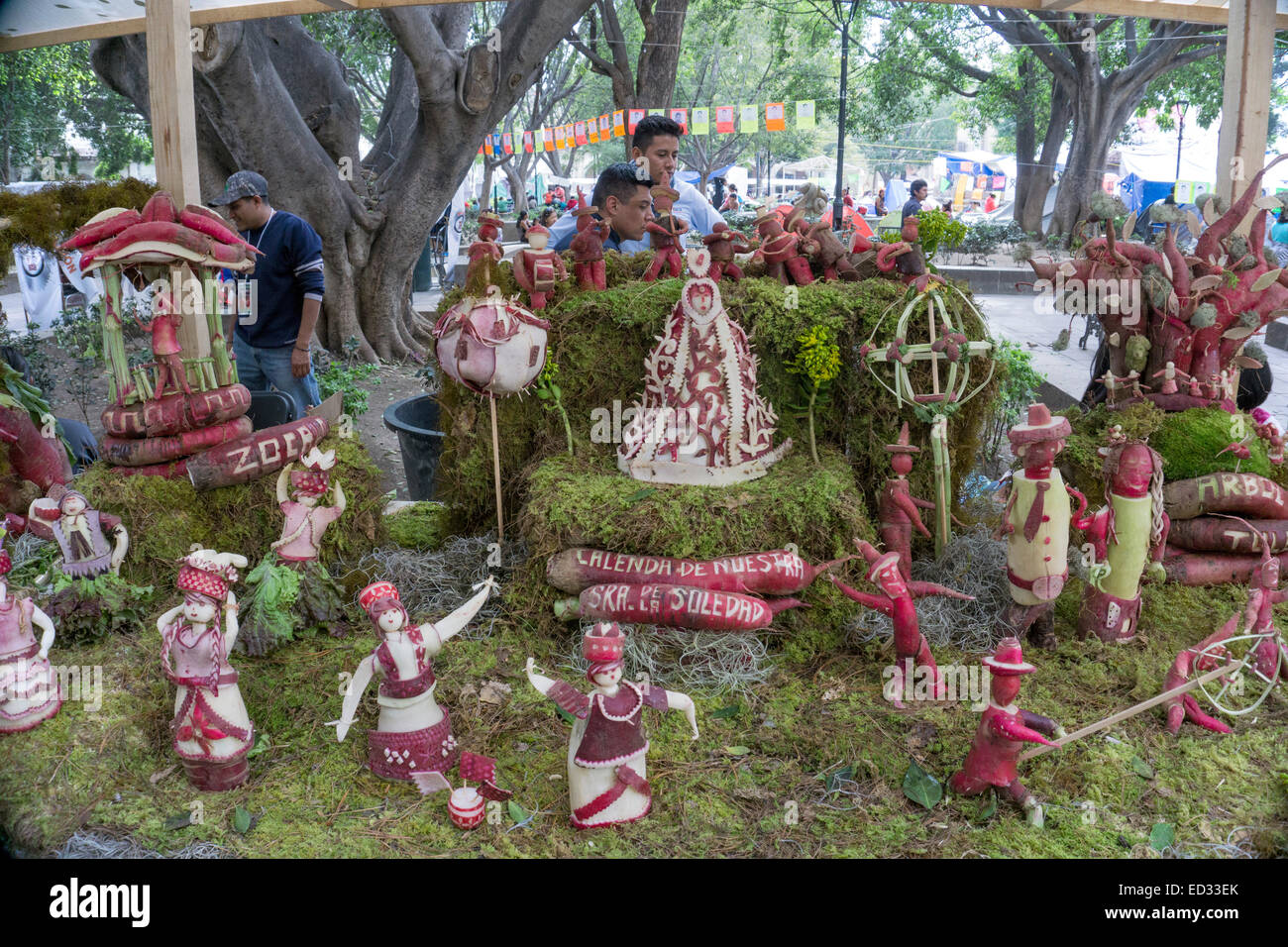 Messico Oaxaca, Dicembre 23, 2014: Noche de Rabanos, arte popolare festival di rafano in cui tutti i tipi di creature collegato con il mito locale religione e storia messicana sono resi astutamente in forma di scolpiti ravanelli. Un affascinante tableau dei giorni sereni di Nostra Signora della solitudine, il Patrono della città di Oaxaca, è visto al centro Credito: Dorothy Alexander/Alamy Live News Foto Stock