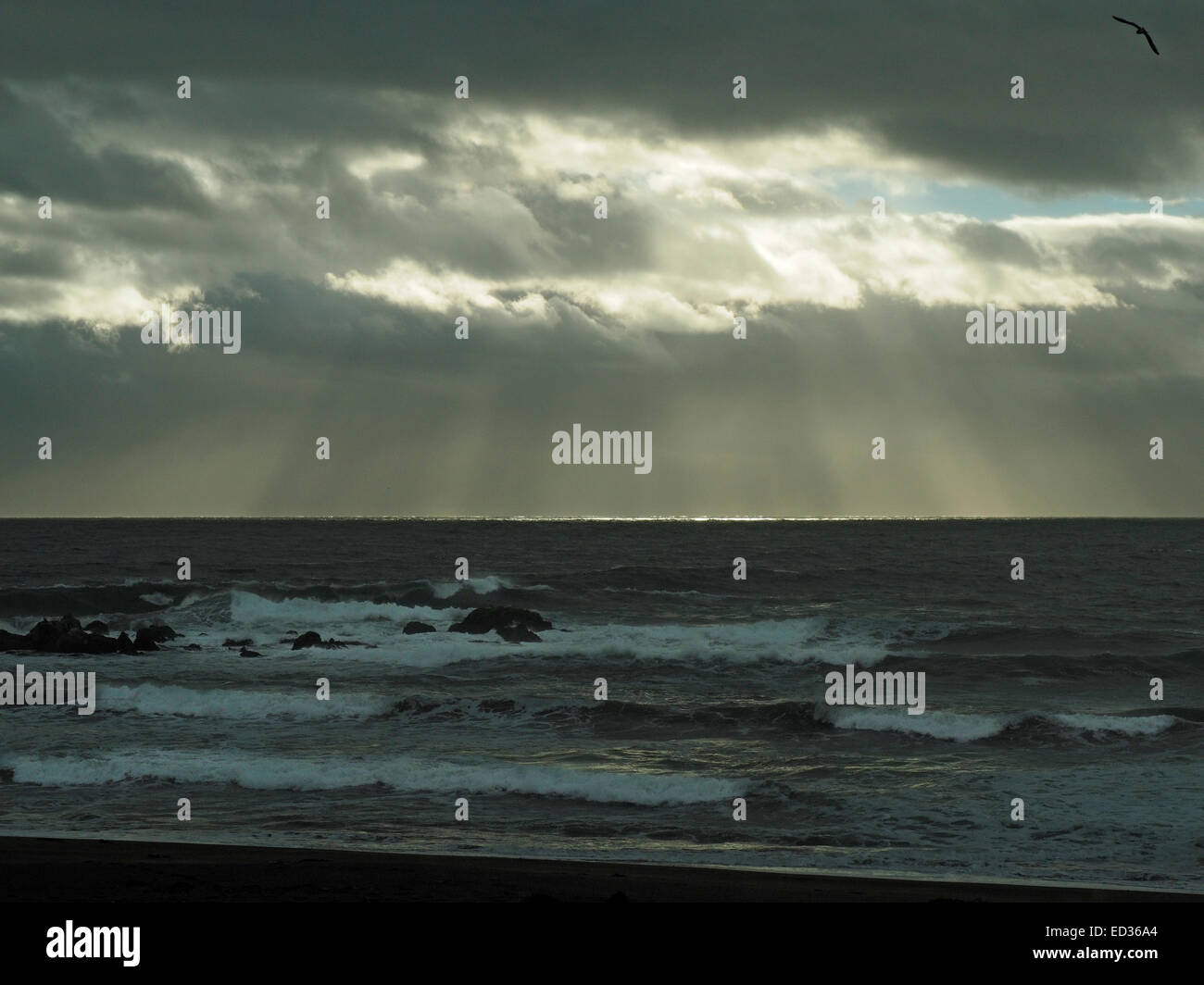 I raggi del sole attraversano le nuvole di tempesta sull'oceano pacifico Foto Stock