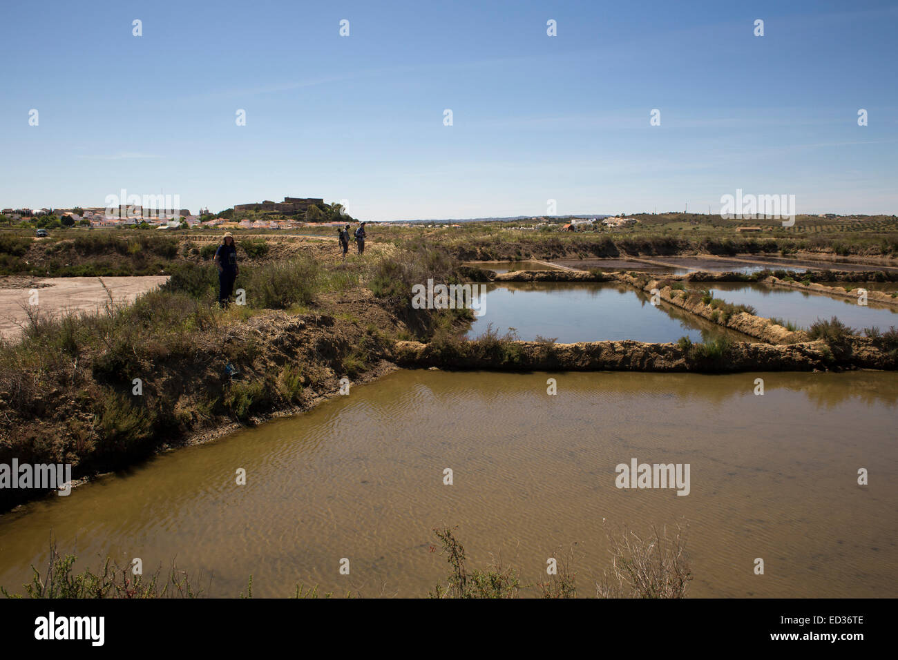 Le saline a Castro Marim, accanto al fiume Guadiana nel sud del Portogallo. La zona è indicata una riserva naturale. Foto Stock