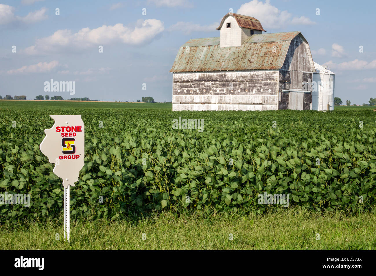 Illinois Tuscola,raccolto,granaio,rurale,agricolo,agricolo,fattoria,mietitrebbia trebbiatrice,soia,indicatore semi,cartello,IL140904096 Foto Stock