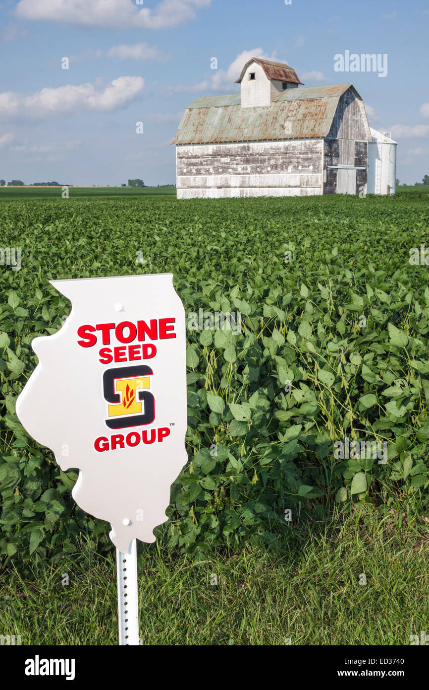 Illinois Tuscola,raccolto,granaio,rurale,agricolo,agricolo,fattoria,mietitrebbia trebbiatrice,soia,indicatore semi,cartello,IL140904097 Foto Stock