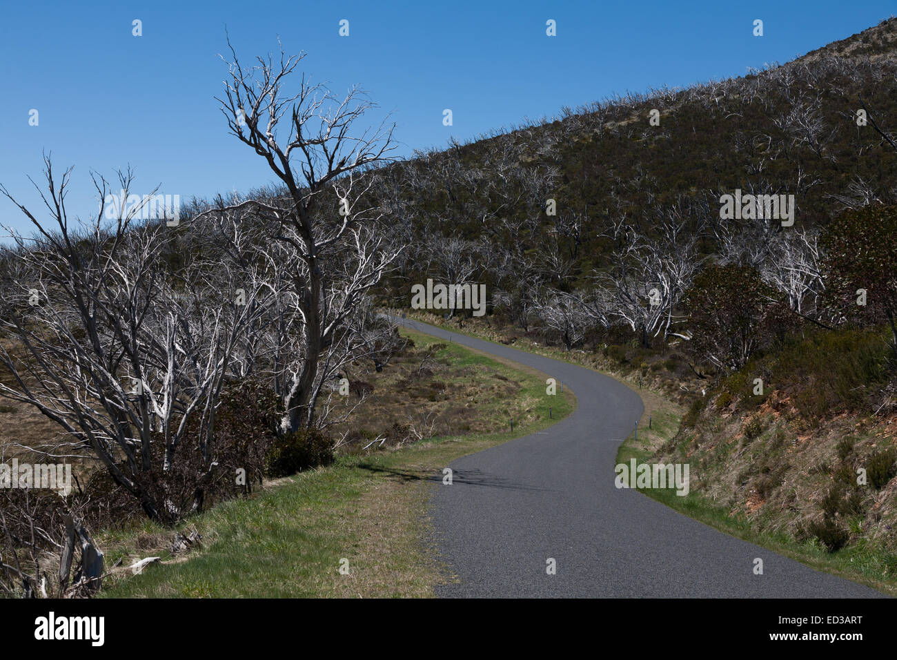 S piegare sul modo alpino attraverso le montagne innevate NSW Australia Foto Stock