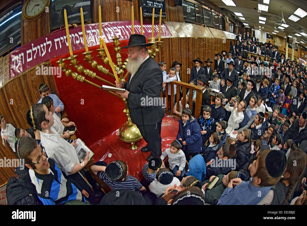 Un ortodosso rabbino ebreo recita le benedizioni ricevute prima di Hanukkah illuminazione candele ad una affollata sinagoga di Brooklyn, New York Foto Stock