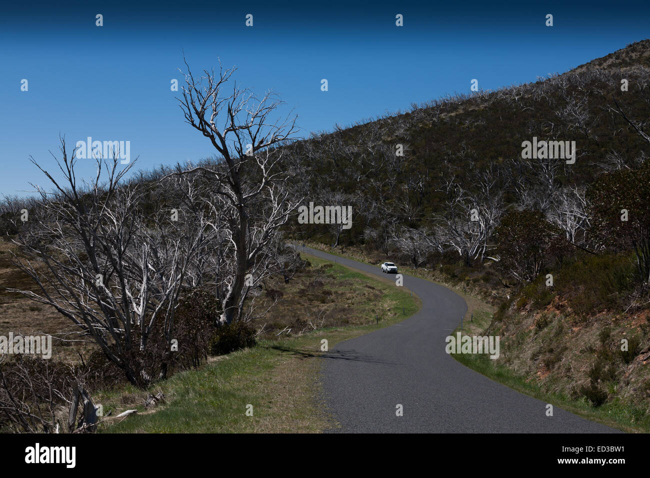 S piegare sul modo alpino attraverso le montagne innevate NSW Australia Foto Stock