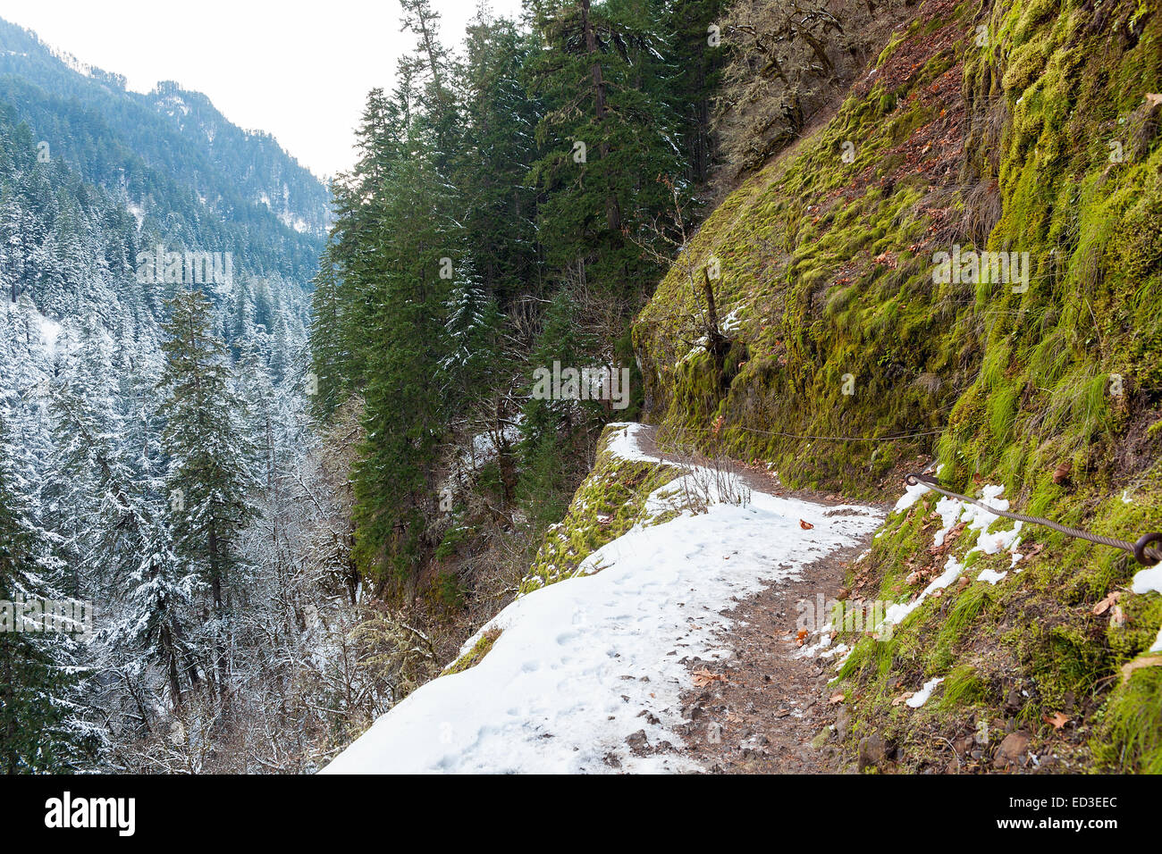 Coperta di neve Eagle Creek Forest Sentiero escursionistico presso la Columbia River Gorge Oregon nella stagione invernale Foto Stock