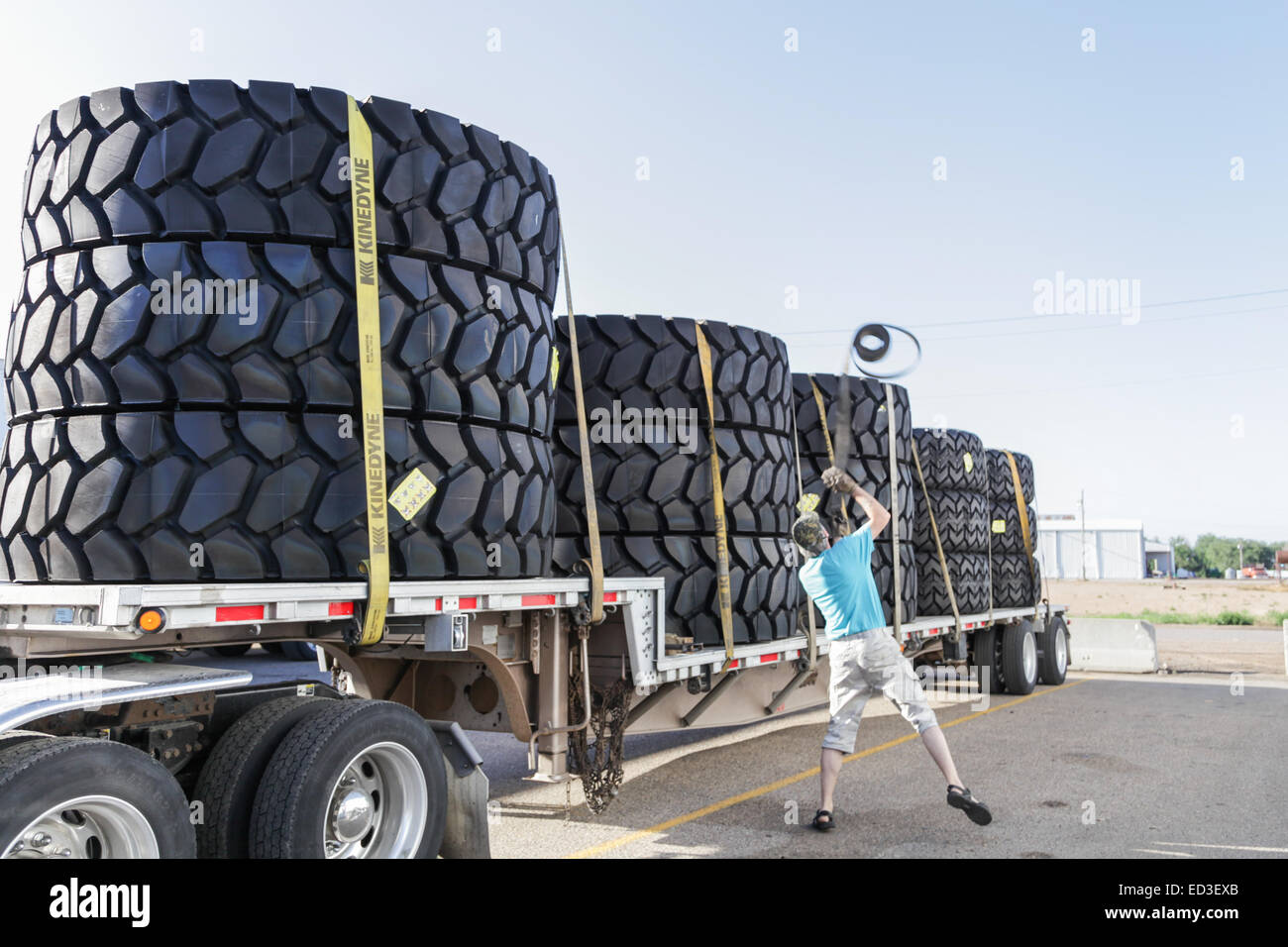Peterbilt carrello con carico di grandi dimensioni pneumatici di data mining su rimorchio flatdeck driver e gettando le cinghie oltre il carico per fissarlo. Foto Stock