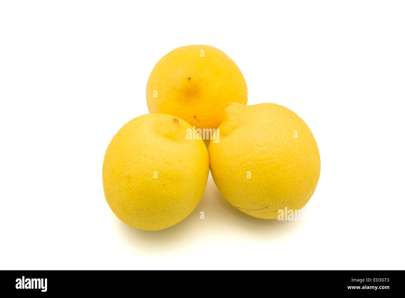 Limone giallo su sfondo bianco Foto Stock