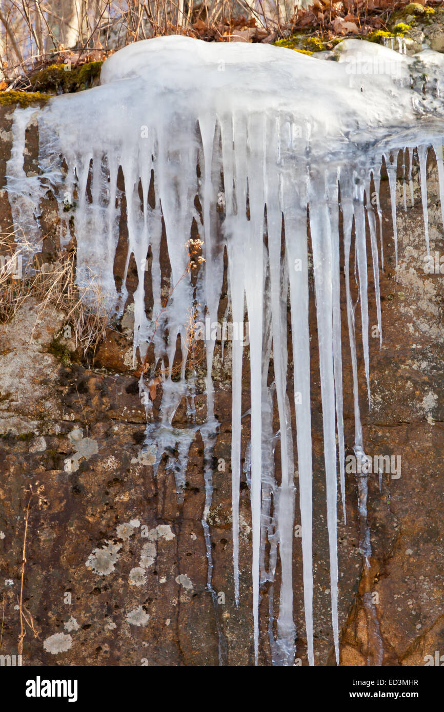 Lunghi ghiaccioli formando su di una collina a lato di una strada Foto Stock