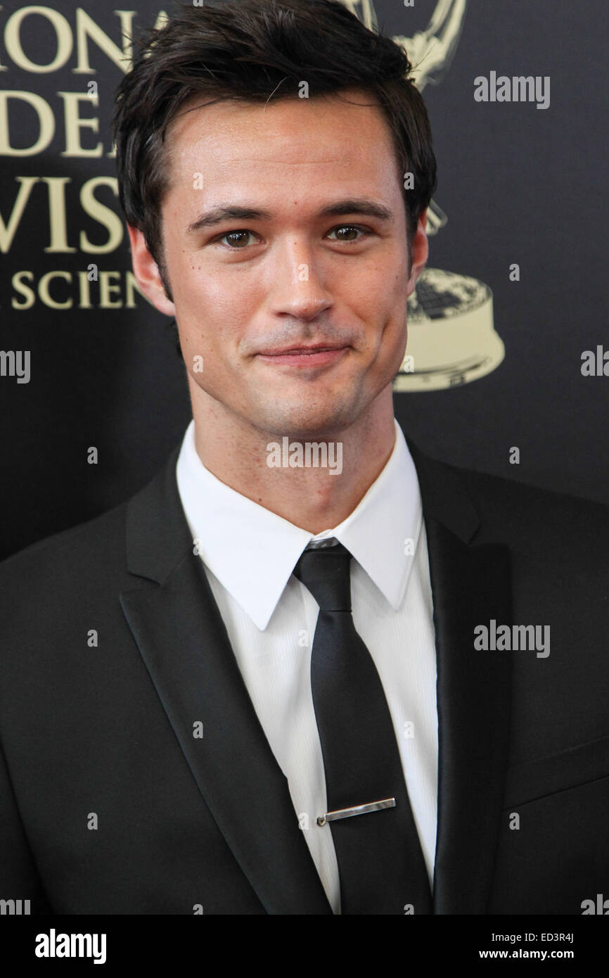 La quarantunesima edizione del giorno annuale Emmy Awards presso l'Hotel Hilton offre: Matthew Atkinson dove: Beverly Hills, in California, negli Stati Uniti quando: 22 Giu 2014 Foto Stock