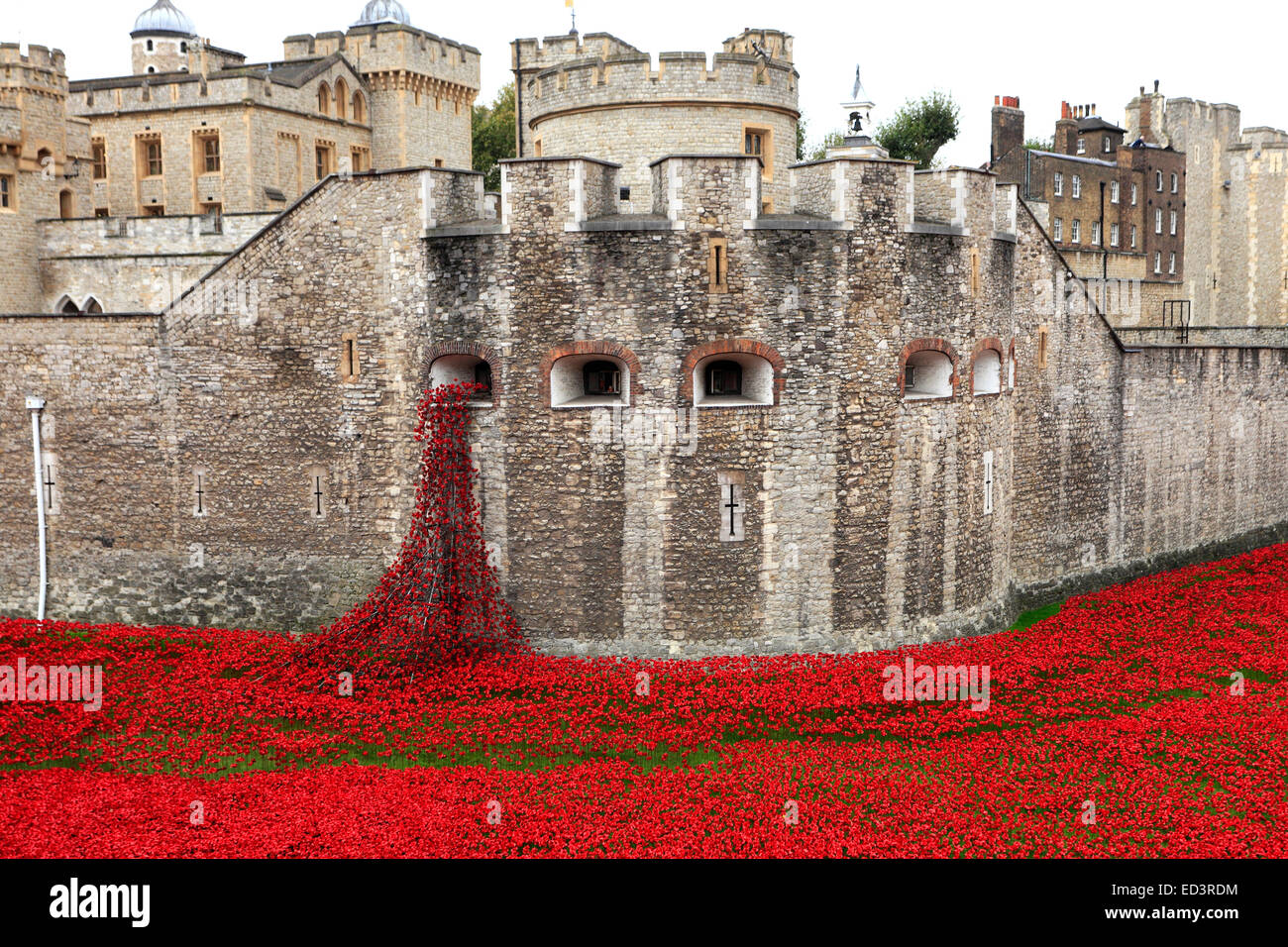 Ceramica fiori di papavero attorno alla parte esterna della Torre di Londra, North Bank di Londra City, Inghilterra, Regno Unito. Foto Stock