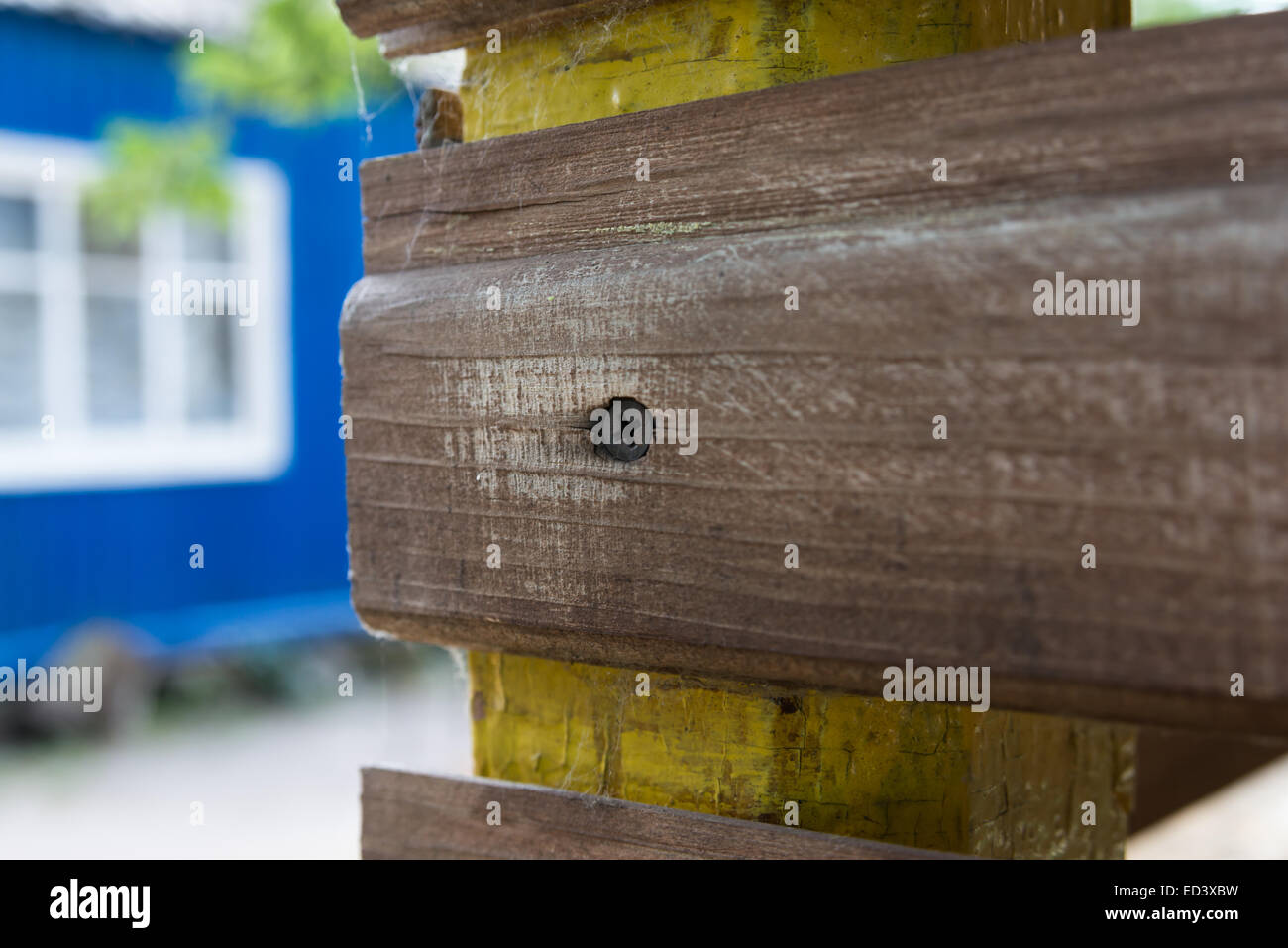 Una vite per la comune casa in legno Foto Stock