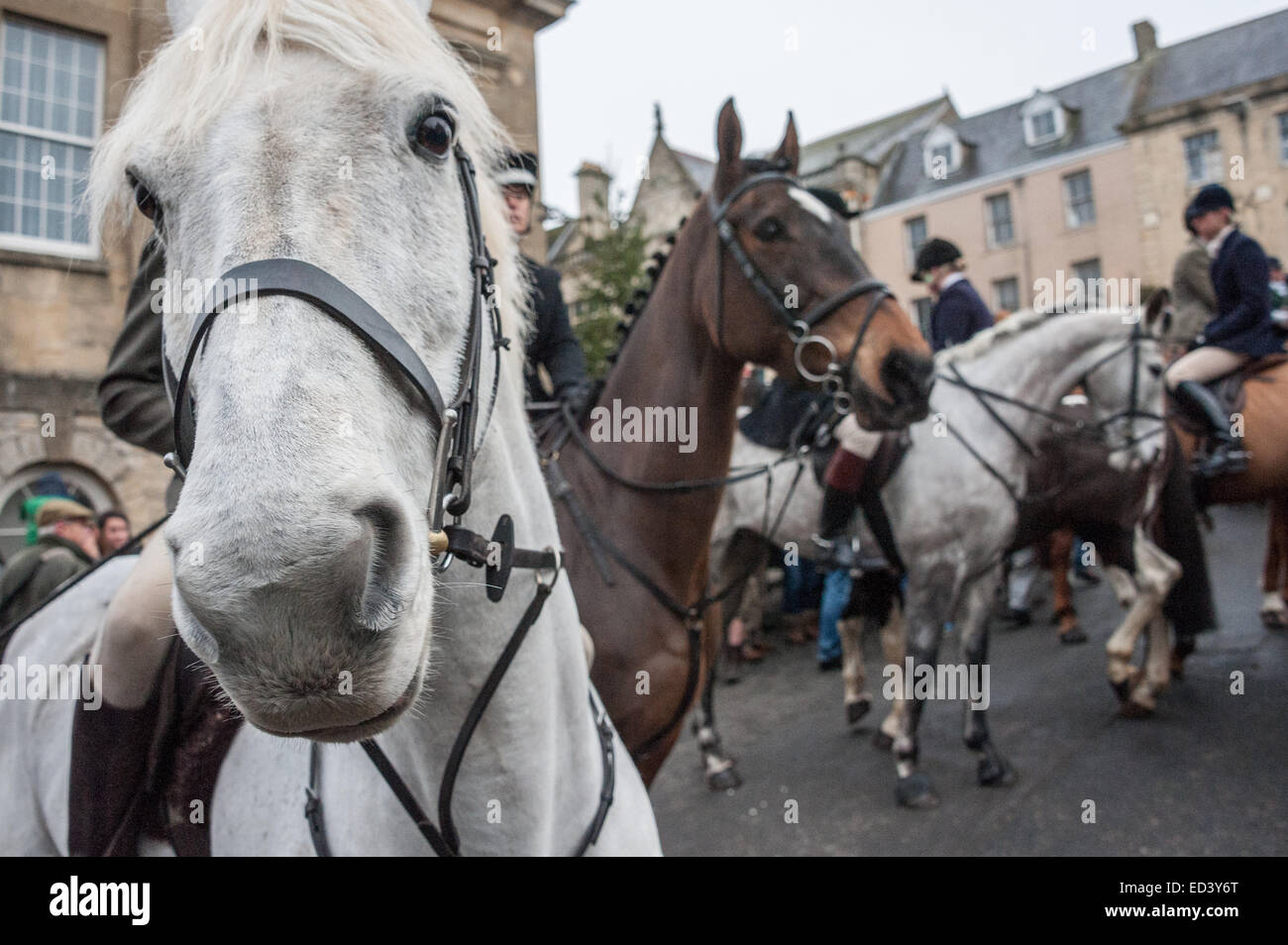 Chipping Norton, Oxfordshire. Regno Unito. 26 dicembre, 2014. Membri della Heythrop Hunt raccogliere per l annuale Boxing Day Hunt a Chipping Norton, Oxfordshire. Circa un migliaio di persone si è rivelato per guardare il Heythrop Hunt cavalcare per la loro annuale Boxing Day Hunt. Questo importante incontro è iniziato con la riunione piloti davanti al Fox Hotel.Le donazioni sono state raccolte dalla folla di finanziare il fondo per la lotta continua ad avere il divieto di caccia abrogato. Credito: Desmond Brambley/Alamy Live News Foto Stock