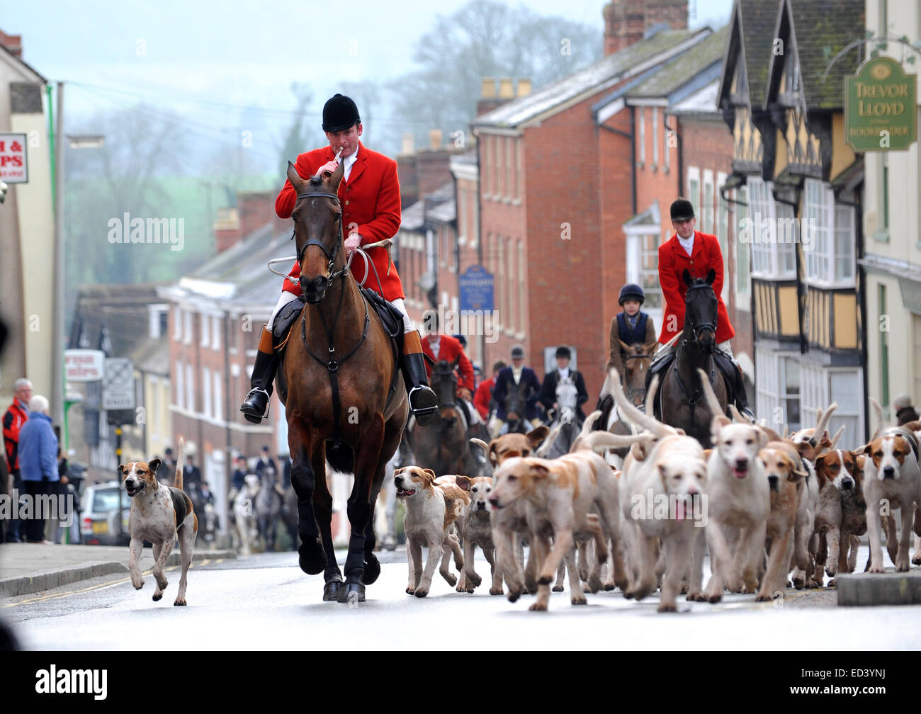 Testa piloti attraverso la città alla caccia di Ludlow Boxing Day si incontrano a Ludlow Castle Foto Stock