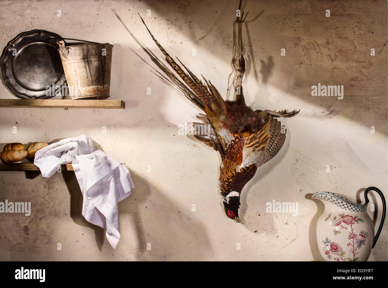 Ancora in vita con fagiano Foto Stock