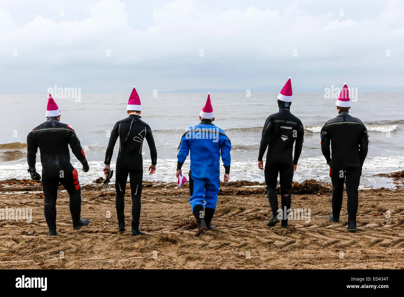 Prestwick, Scotland, Regno Unito. Il 26 dicembre, 2014. La nona edizione del clicca sergent Boxing Day nuotare era tenuto a Prestwick beach, Ayrshire, vicino all'ospizio. Questo ha attirato oltre 200 nuotatori molti in abiti fantasiosi costumi sono stati hanno marciato per la spiaggia dalle locali piper Billy Kenny. Questo anno è stato particolarmente oneroso per Clicsergent quando durante le recenti tempeste l ospizio è stato colpito due volte da un fulmine provocando oltre £200.000 che vale la pena di danni e interruzioni di cura. I nuotatori di speranza per sollevare oltre £25.000 dalla sponsorizzazione. Credito: Findlay/Alamy Live News Foto Stock