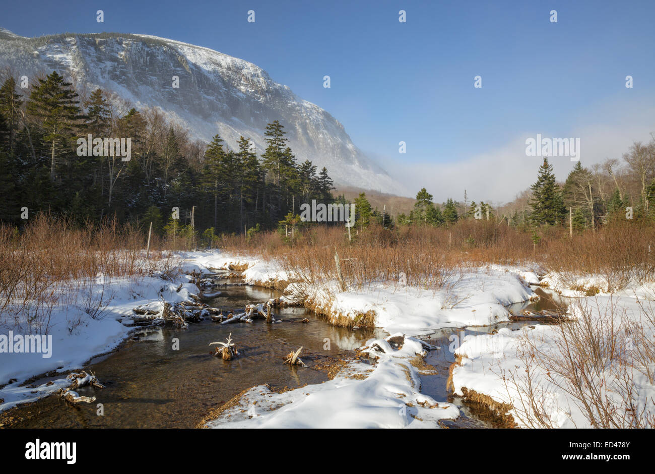 Franconia Notch State Park - Cannon Mountain da lungo il sentiero Pemi nelle White Mountains, New Hampshire USA. Foto Stock
