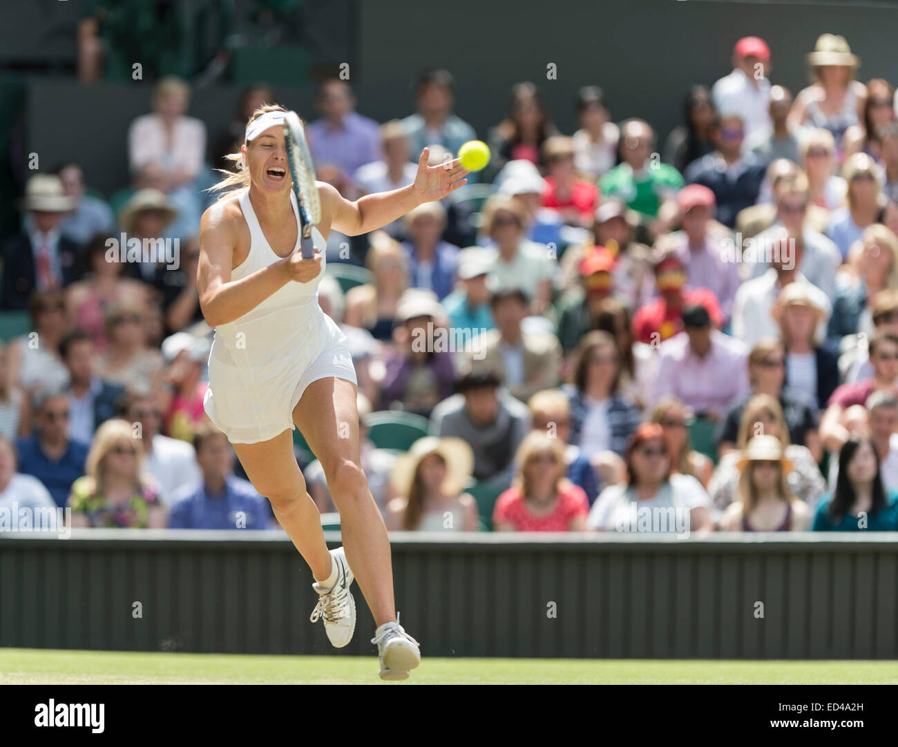 01.07.2014. Il torneo di Wimbledon Tennis Championships 2014 tenutosi presso il All England Lawn Tennis e Croquet Club di Londra, Inghilterra, Regno Unito. Angelique Kerber (GER) [9] (rosso logo NCP) v Maria Sharapova (RUS) [5] sul Centre Court. Maria in azione. Foto Stock