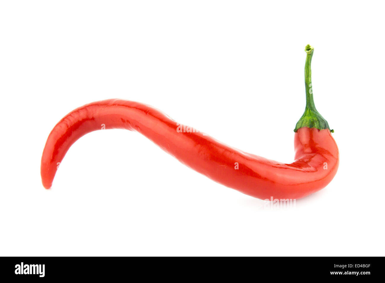 Red hot chili pepper isolato su bianco Foto Stock