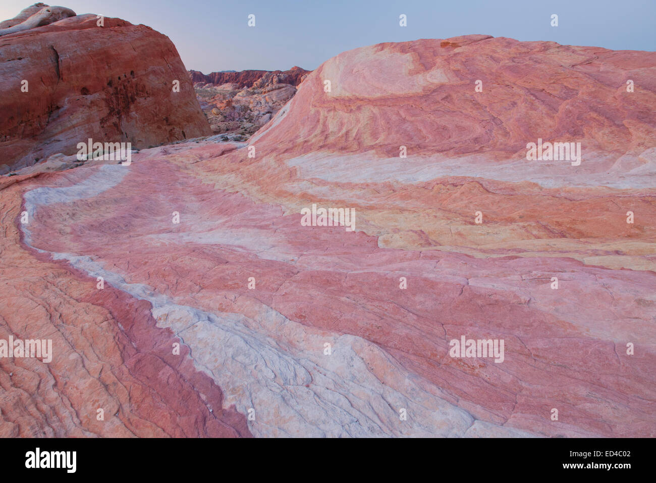 Colorato in pietra arenaria, la Valle del Fuoco State Park, vicino a Las Vegas, Nevada. Foto Stock