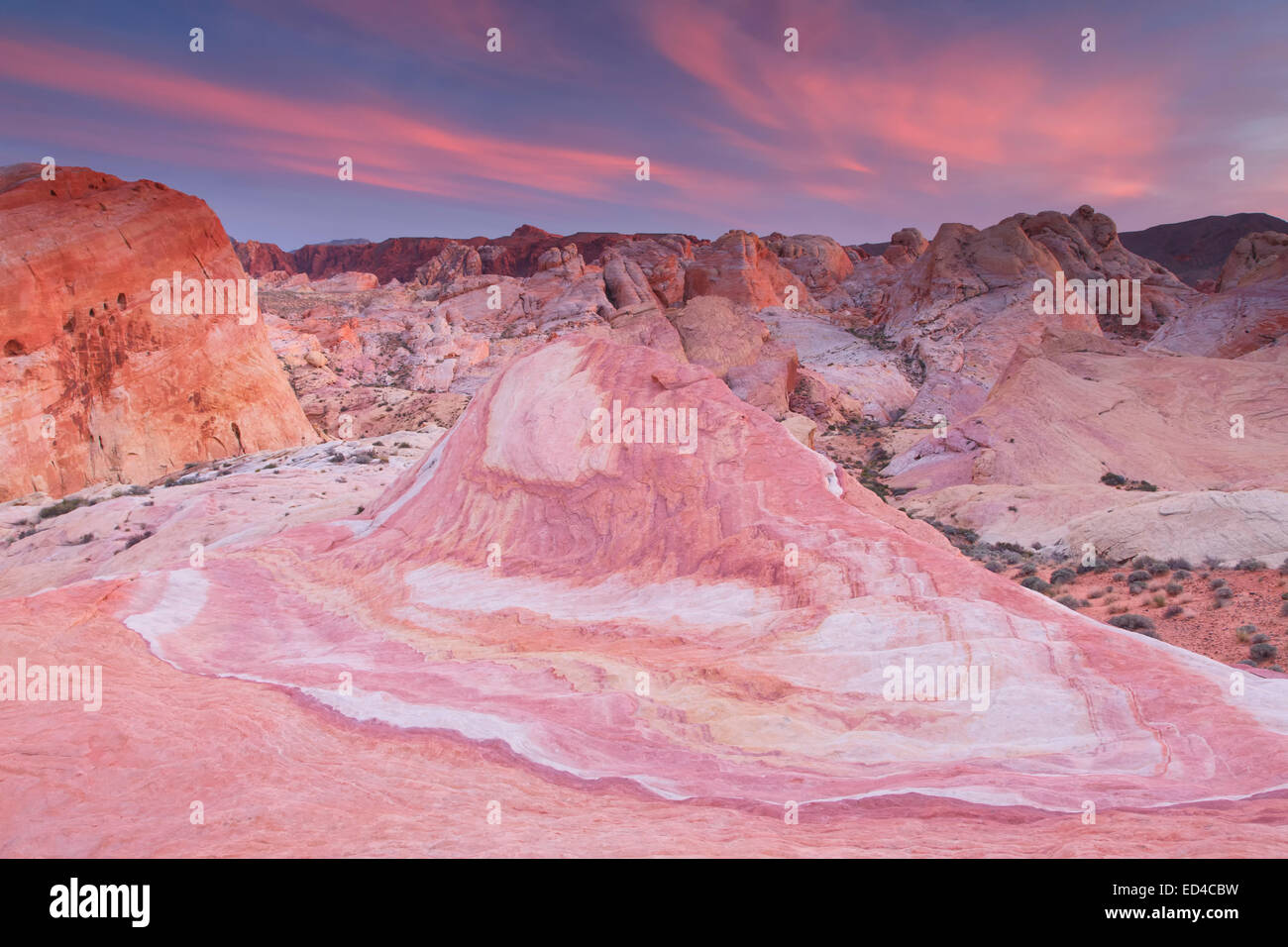 Colorato in pietra arenaria, la Valle del Fuoco State Park, vicino a Las Vegas, Nevada. Foto Stock