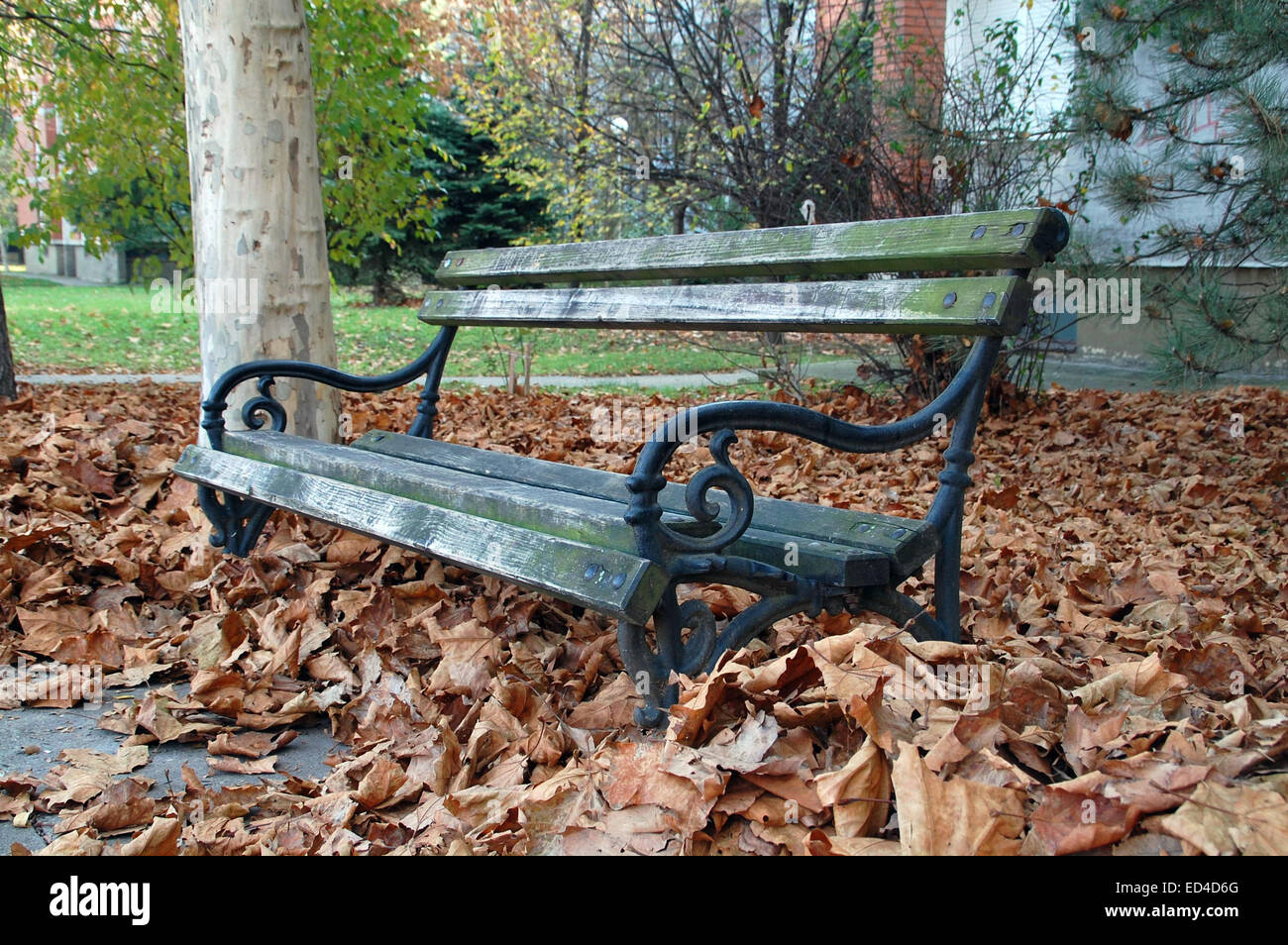 Panca in legno ricoperta di autunno caduta foglie. Banco di fronte all'edificio. Foto Stock