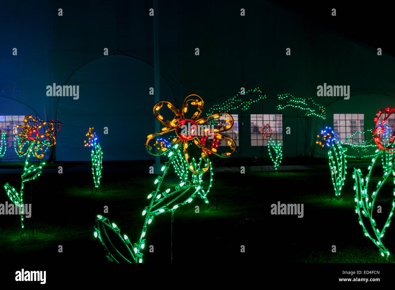 Festa delle Luci Holiday celebrazione presso Moody Gardens in Galveston. Foto Stock