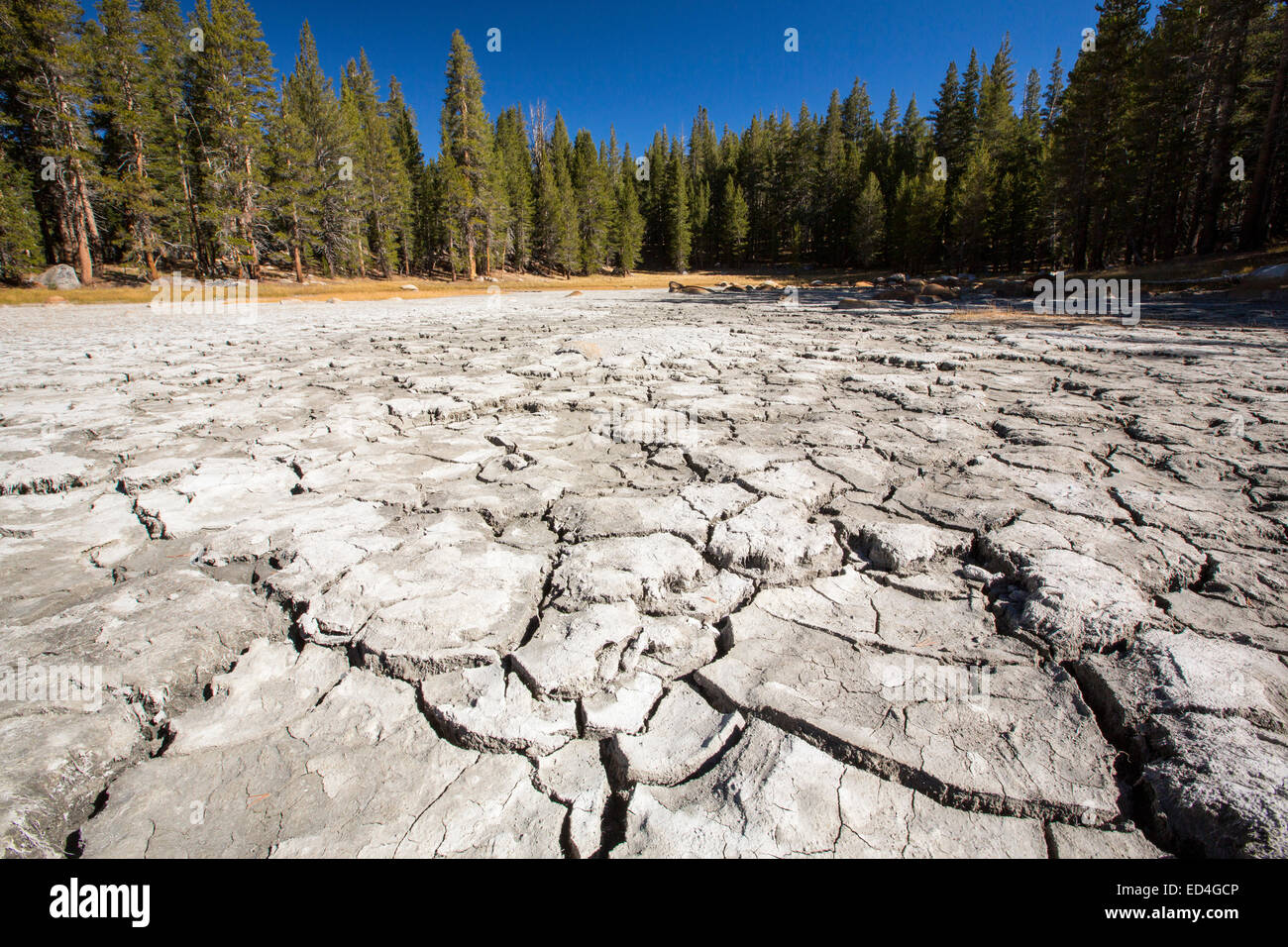 Una siccità lago interessate nel Parco Nazionale di Yosemite in California, Stati Uniti d'America. La maggior parte di Califoprnia è eccezionale siccità, il grado più alto di classificazione delle siccità. Foto Stock