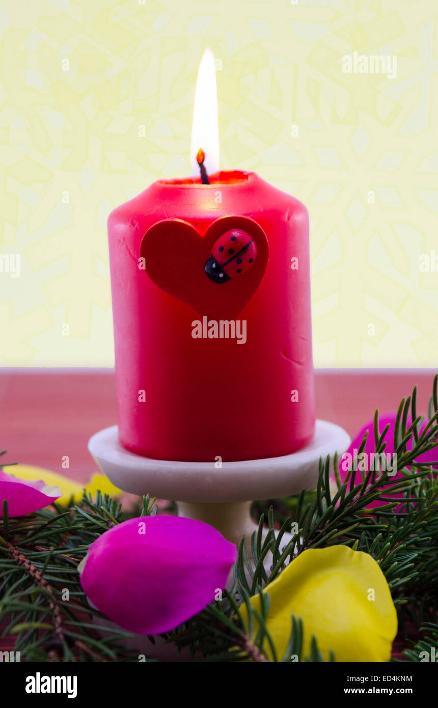 Red christmas candle burning, decorata da un ramo di abete e petali di rosa Foto Stock
