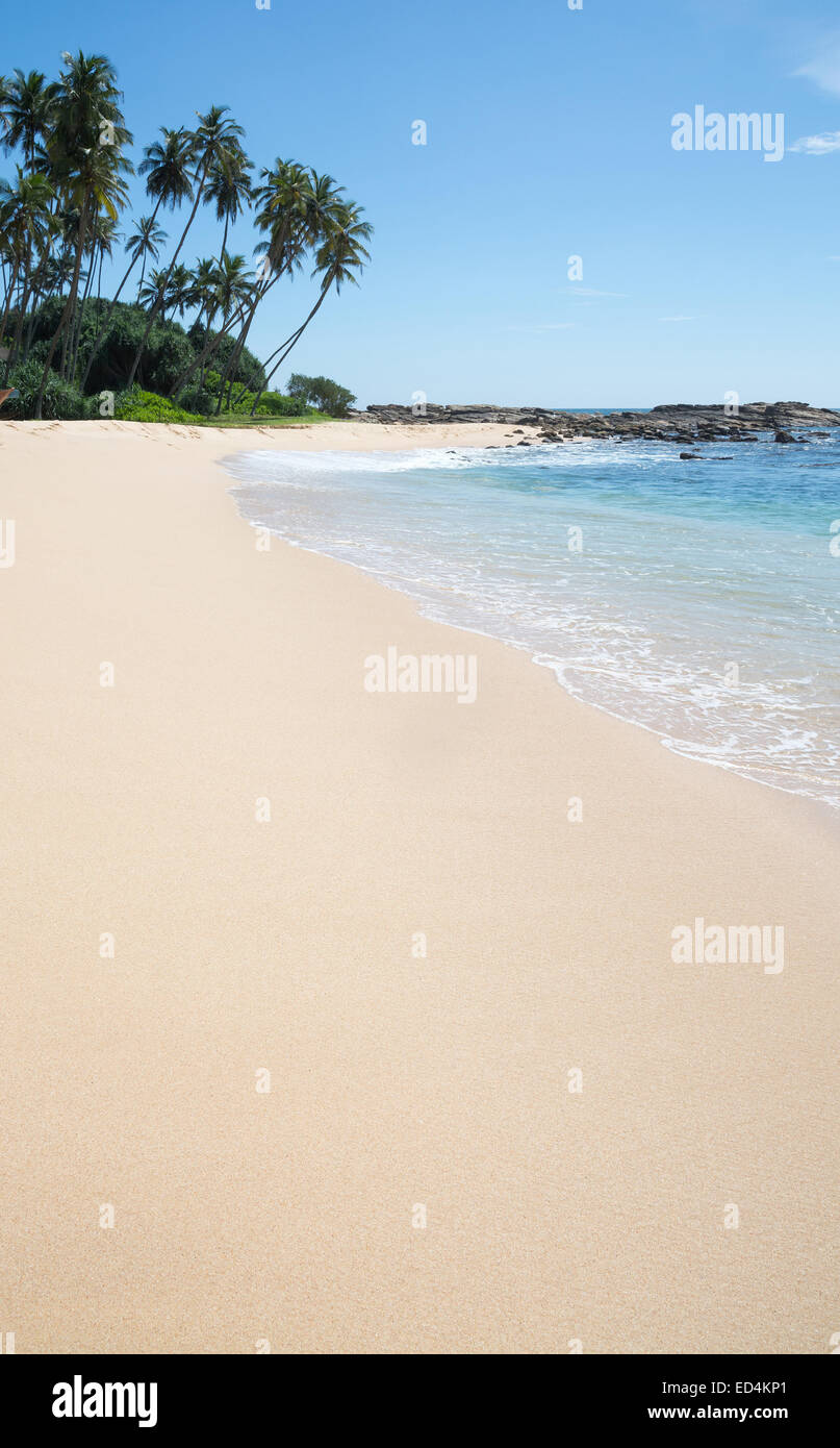 Paradise Beach. Spiaggia di fine sabbia bianca, palme di cocco. Sud della provincia, Sri Lanka, in Asia. Foto Stock