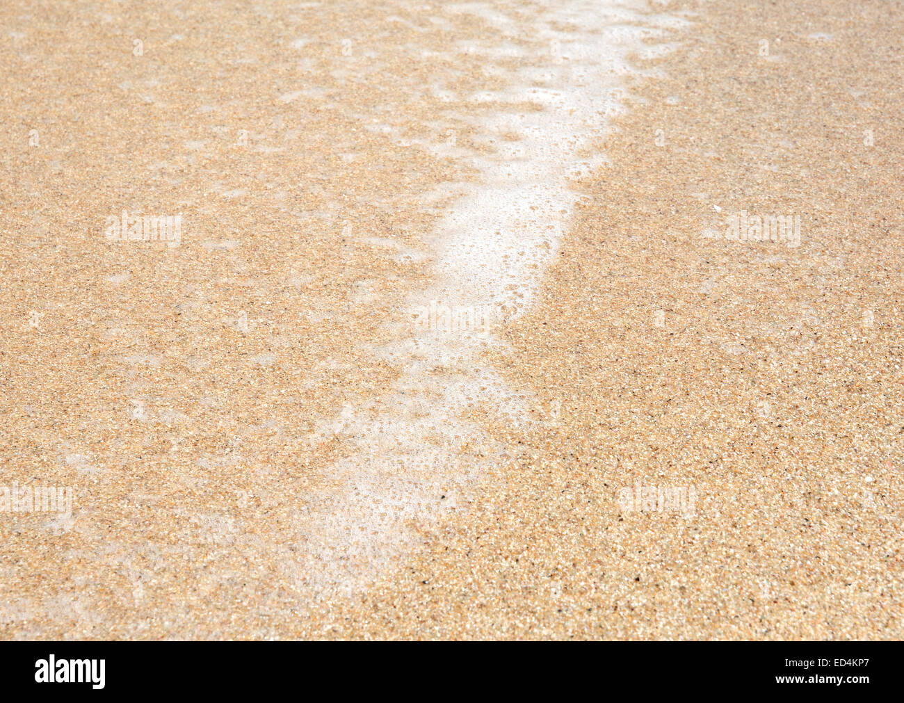La sabbia e la macro di seafoam sulla spiaggia tropicale. Sud della provincia, Sri Lanka, in Asia. Foto Stock