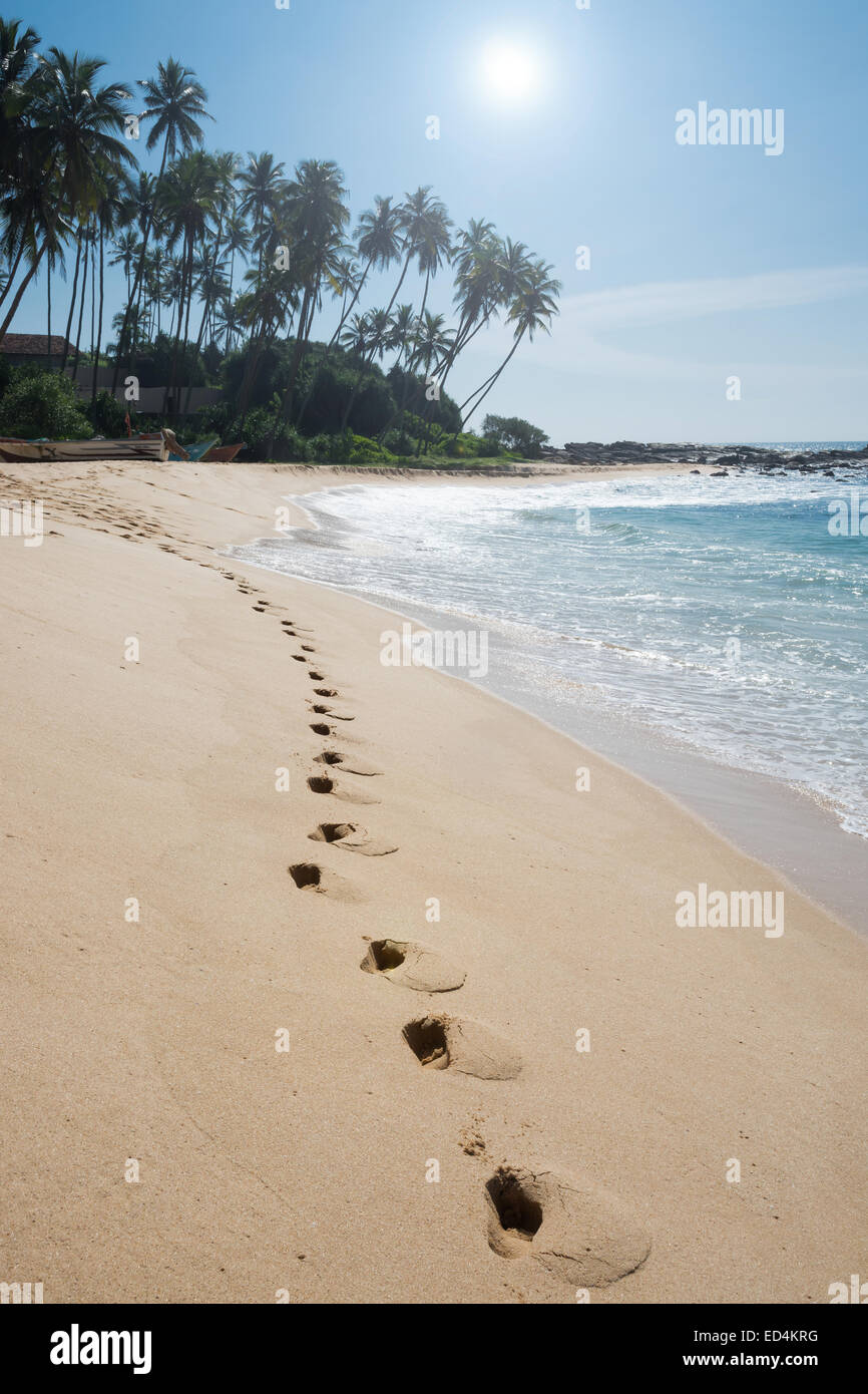 Impronte sulla Paradise beach con palme da cocco e sabbia bianca, Tangalle, sud della provincia, Sri Lanka, in Asia. Foto Stock