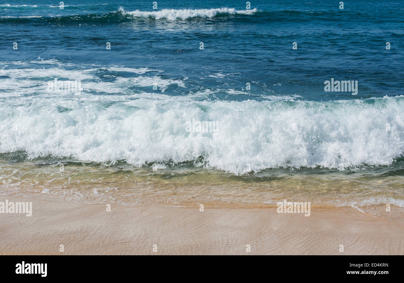 Paradiso di sabbia spiaggia con sabbia dorata e acqua verde smeraldo sul bordo dell Oceano Indiano, della Provincia Meridionale, Sri Lanka, in Asia. Foto Stock