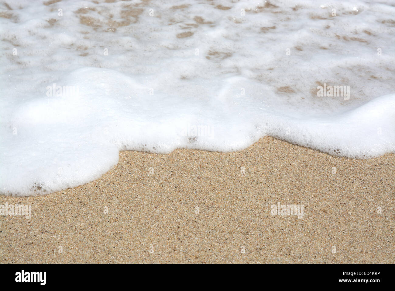 La sabbia e la macro di seafoam sulla spiaggia tropicale. Sud della provincia, Sri Lanka, in Asia. Foto Stock