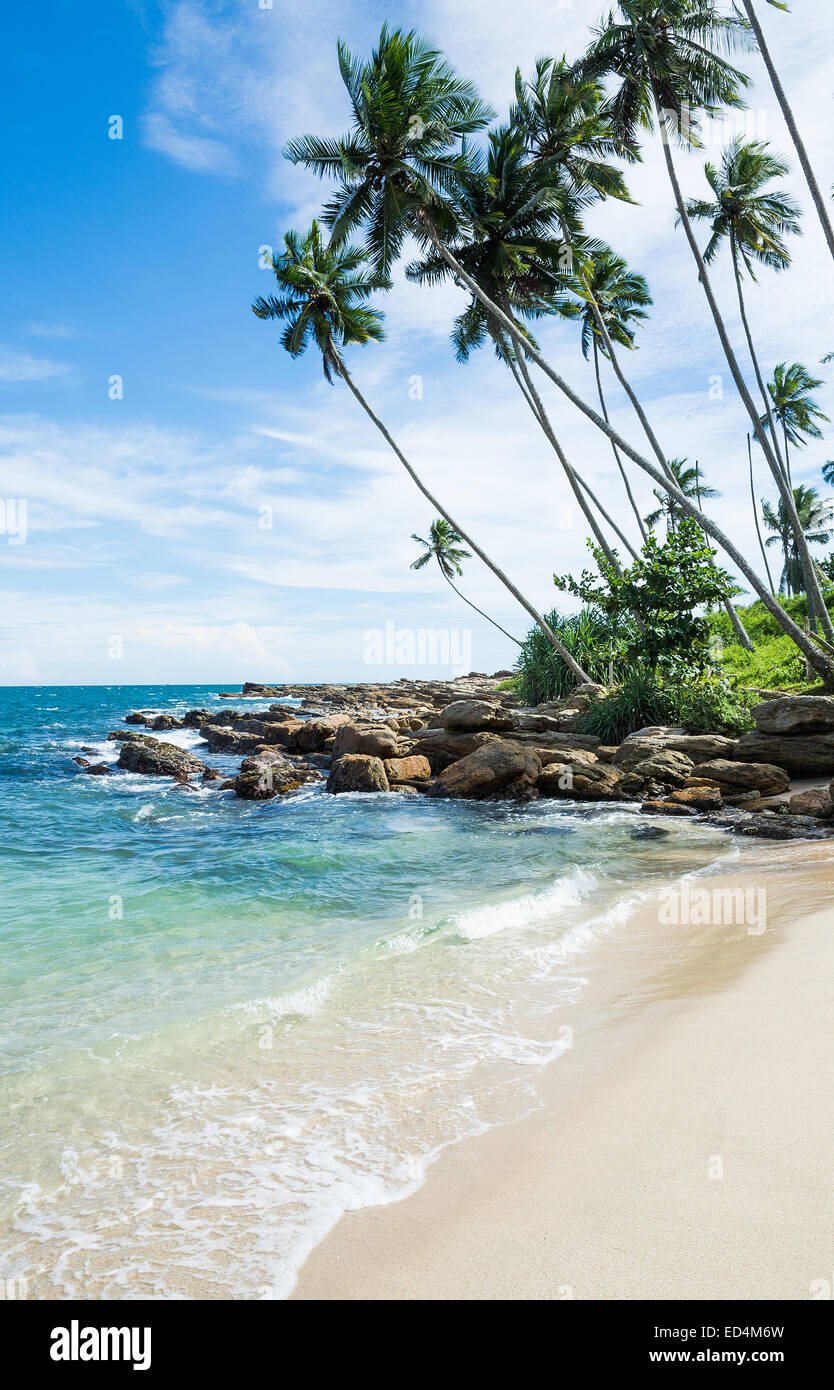 Tropical spiaggia rocciosa con palme di cocco, spiaggia di sabbia e l'oceano. Tangalle, sud della provincia, Sri Lanka, in Asia. Foto Stock