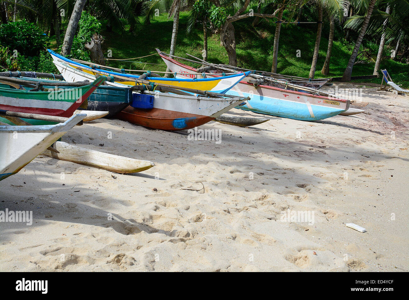 Il governo dello Sri Lanka tradizionali barche da pesca sulla spiaggia sabbiosa di Tangalle, sud della provincia, Sri Lanka, in Asia. Foto Stock