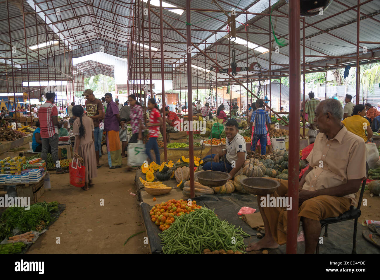 I fornitori di vegetali e acquirenti per il mercato del mercoledì il 17 dicembre 2014 in Tangalle, sud della provincia, Sri Lanka, in Asia. Foto Stock