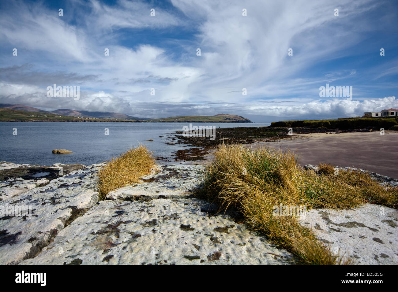 Penisola di Dingle, Irealnd Foto Stock