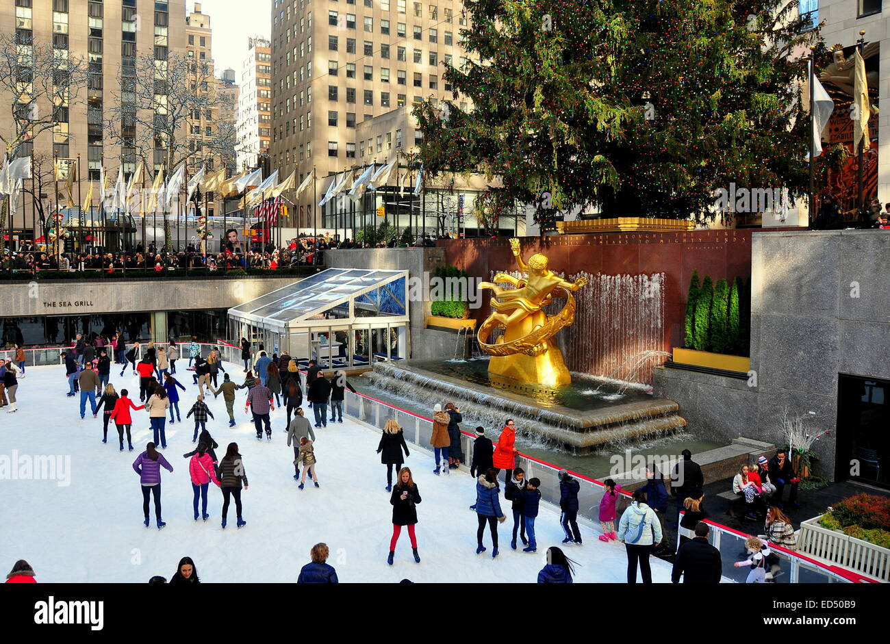 New York City: persone pattinaggio al Rockefeller Center pista di pattinaggio su ghiaccio e il Prometeo dorato fontana e un albero di natale * Foto Stock