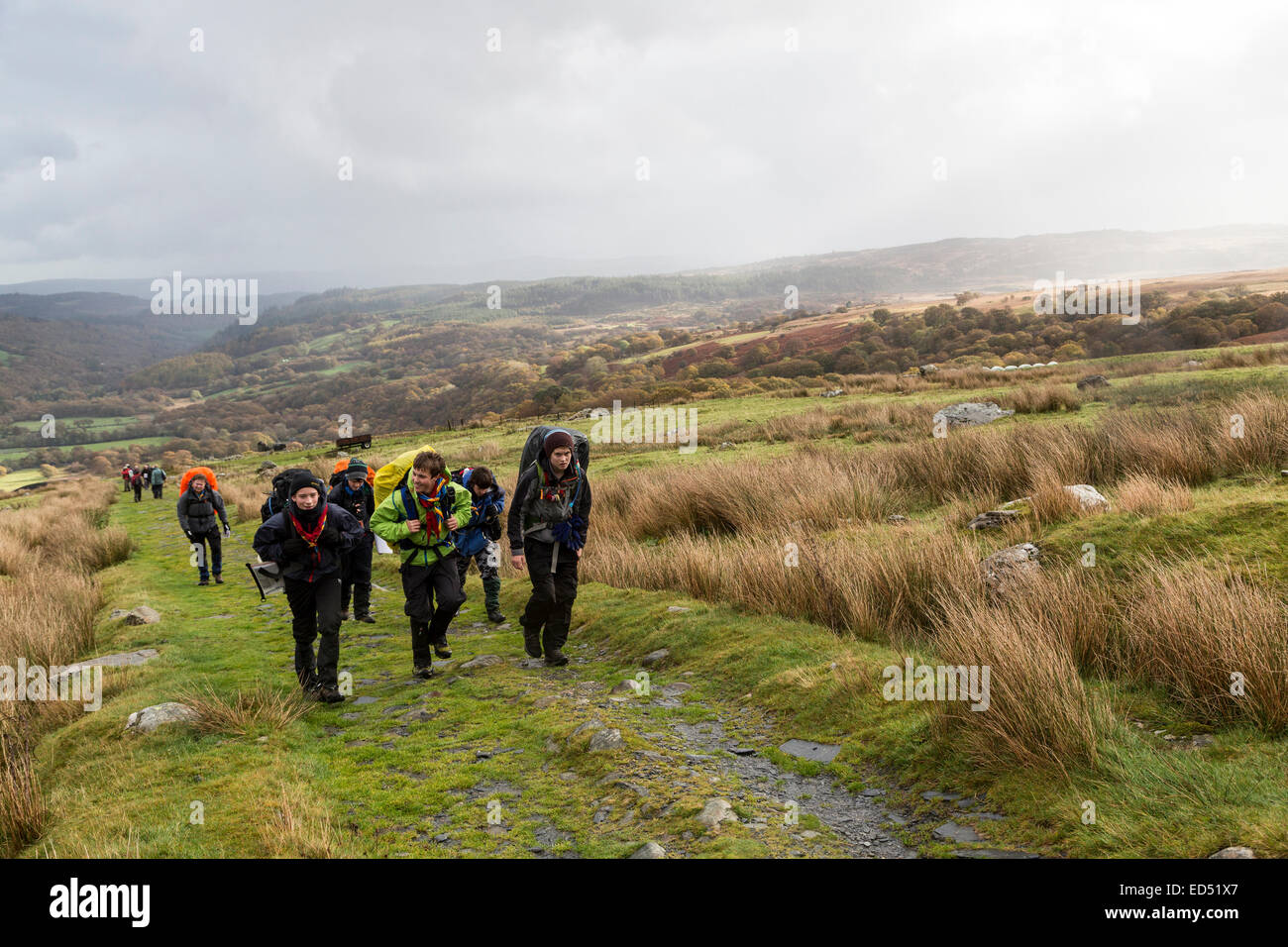 Gruppi di giovani walkers sul Moel Siabod, Capel Curig, Gwynedd, Galles del Nord, Regno Unito Foto Stock