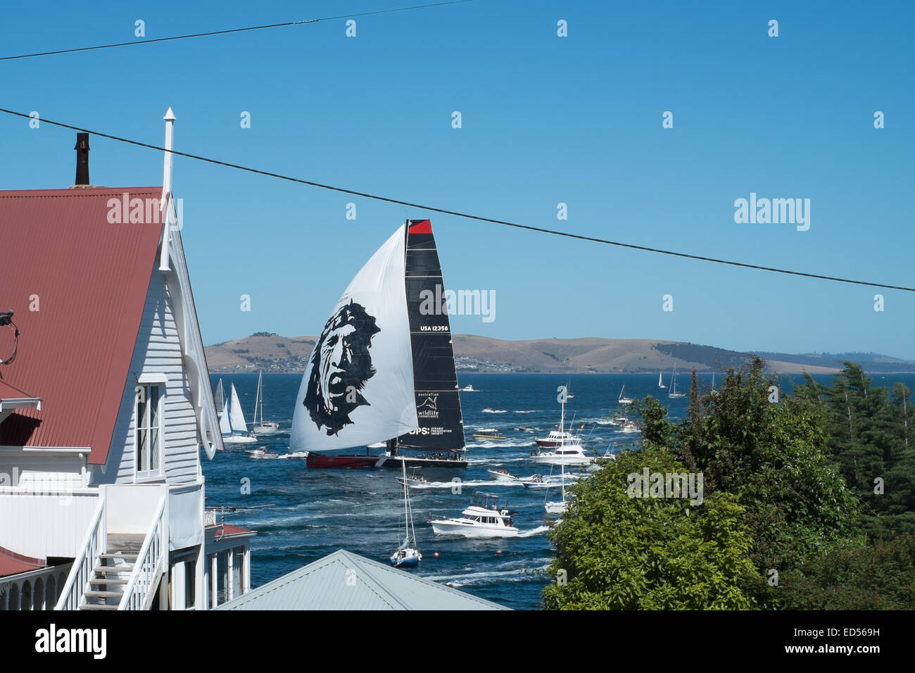 Hobart, Australia. Il 28 dicembre, 2014. Il noi Super Maxi Commanche vele dal fiume-case anteriore del punto di batteria. La gente del posto ha inviato una flottiglia di accogliere la seconda barca in tutta la linea nel 2014 Sydney Hobart yacht race. Wild Oats XI ha avuto successi di linea di nuovo quest'anno. Credito: mistadas/Alamy Live News Foto Stock